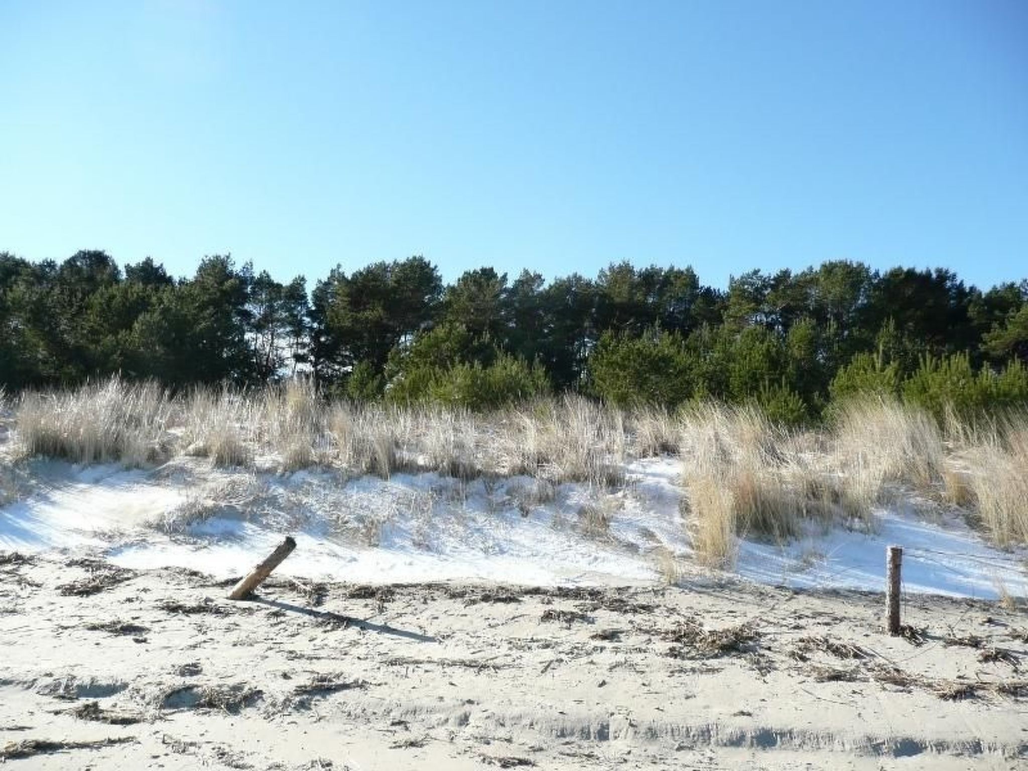 "Haus zum Kapitän"-Binnen