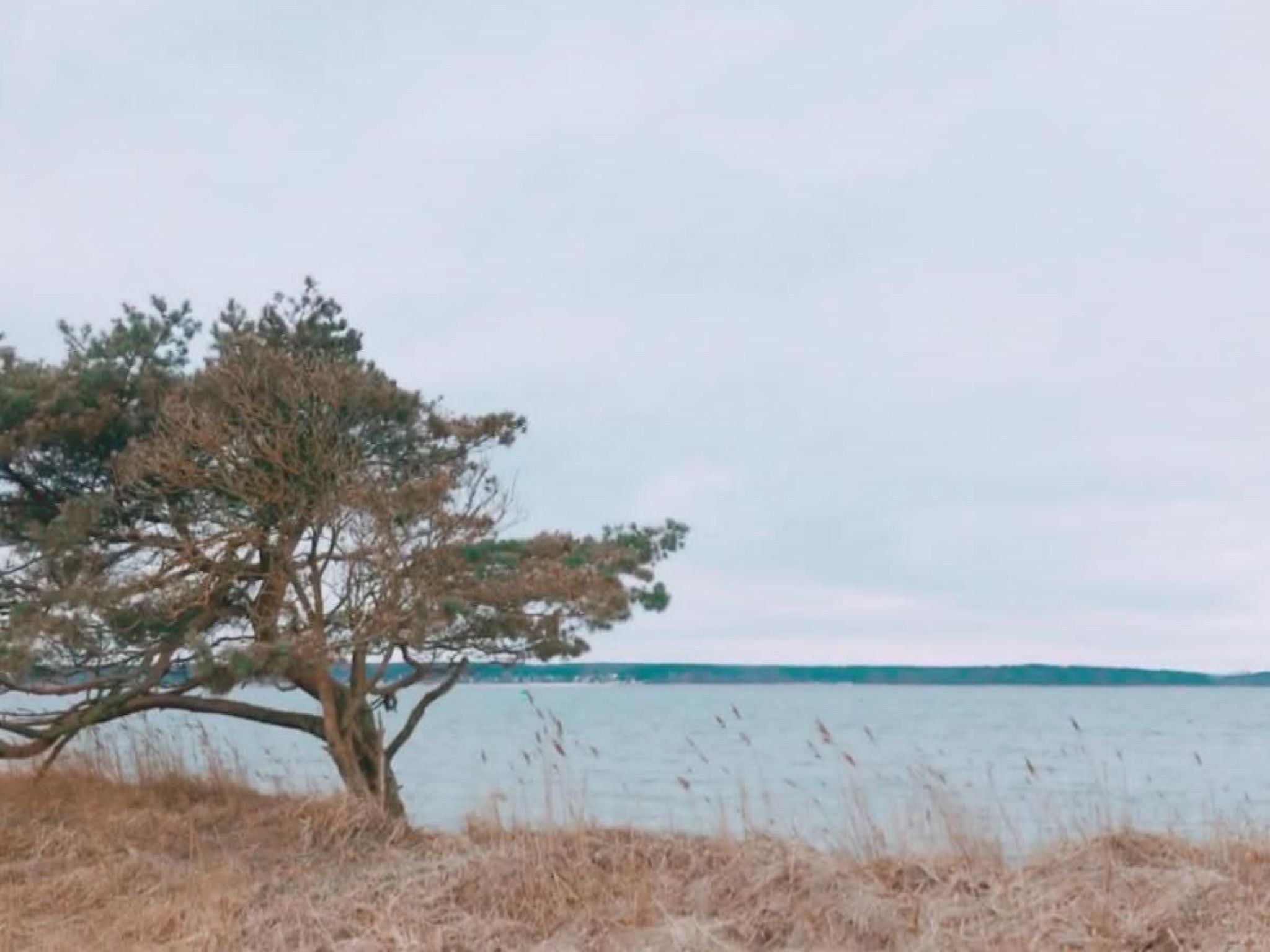 Sealoft auf der Ostsee Floatinghouse Trinity-Image-tags.info