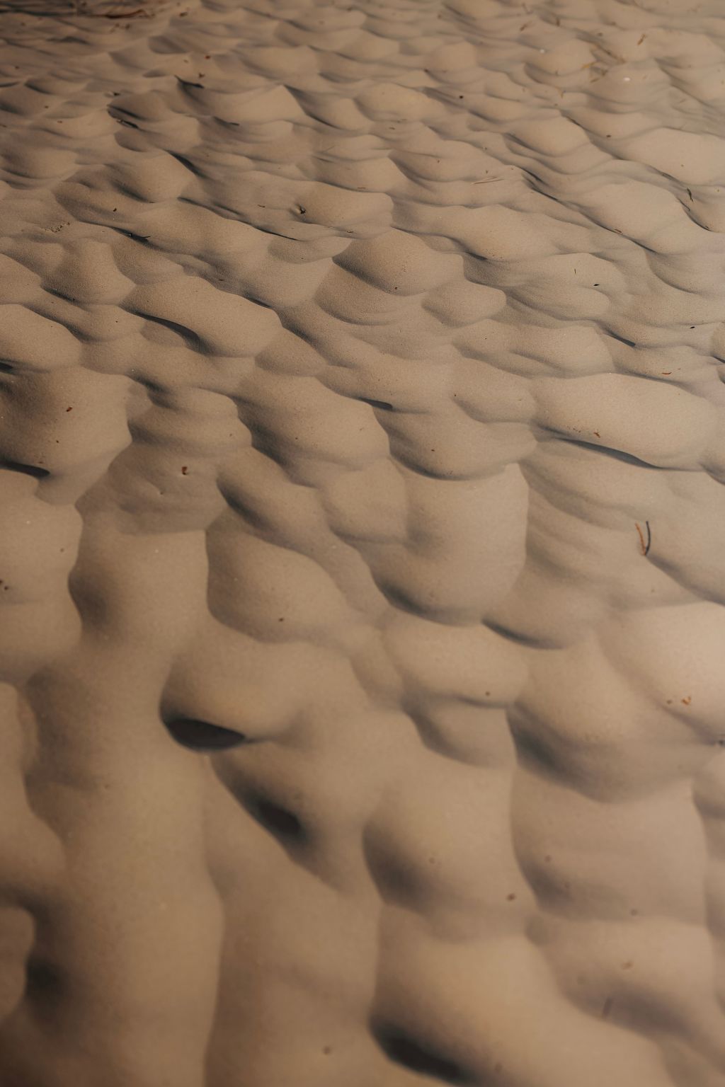 Sealoft auf der Ostsee Floatinghouse Trinity-Image-tags.info