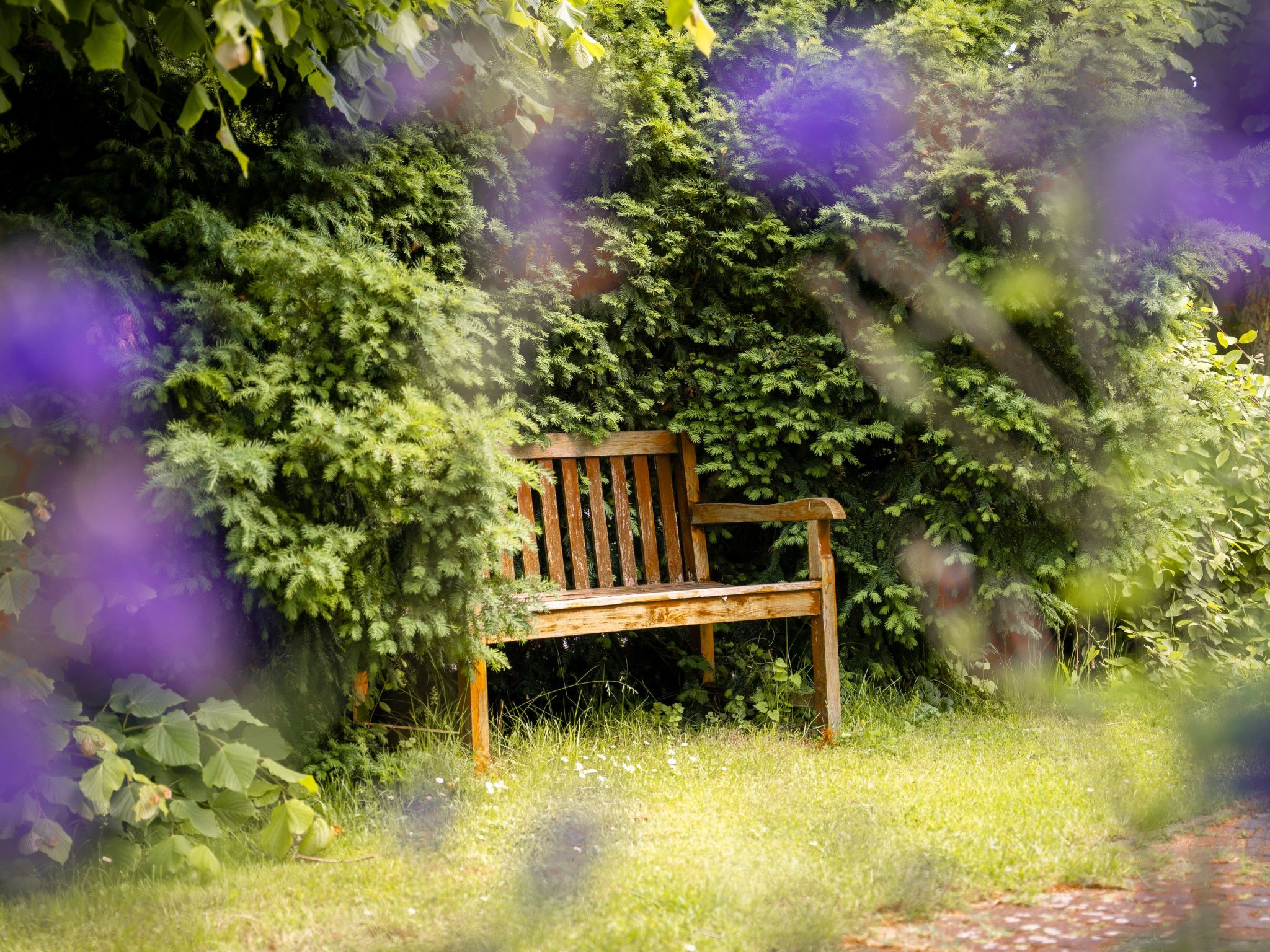 Fewo für 2 Pers.-Image-tags.info