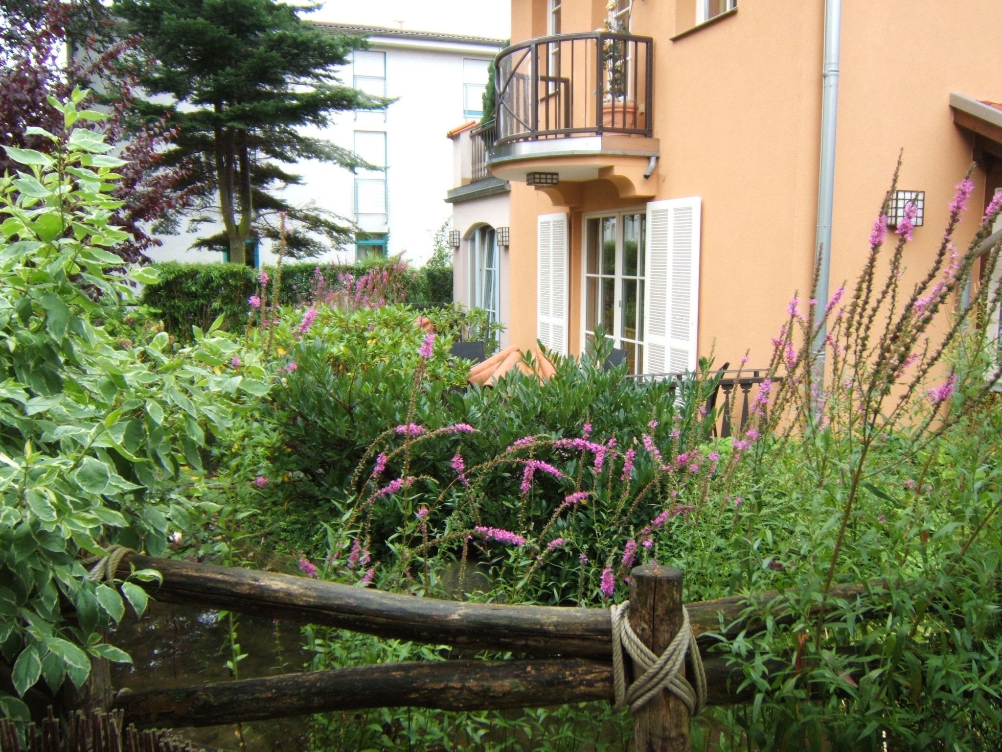 Wohnung Laguna-Residenz in Ostseebad Kühlungsborn-Image-tags.info