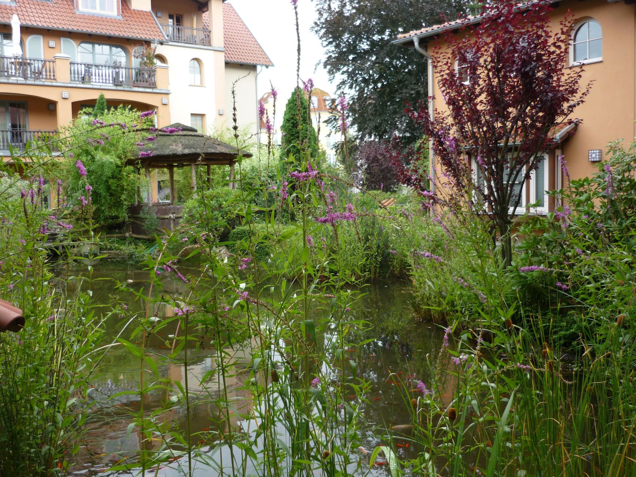 Wohnung Laguna-Residenz in Ostseebad Kühlungsborn-Image-tags.info