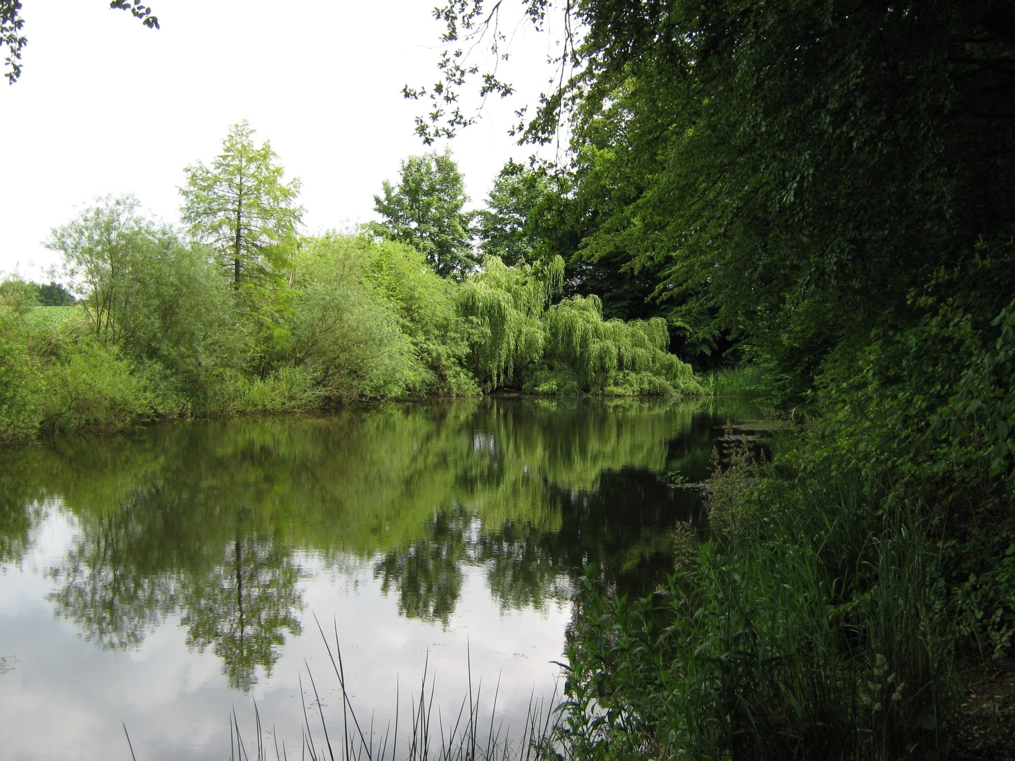 Schloßurlaub direkt an der Ostsee-Image-tags.info