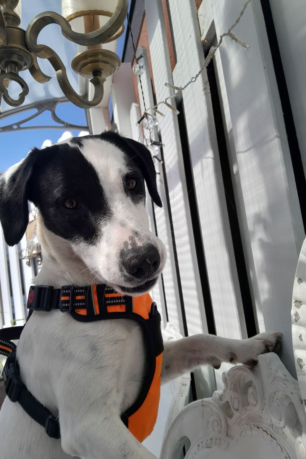 Bungalow "Lieschen"-Drinnen