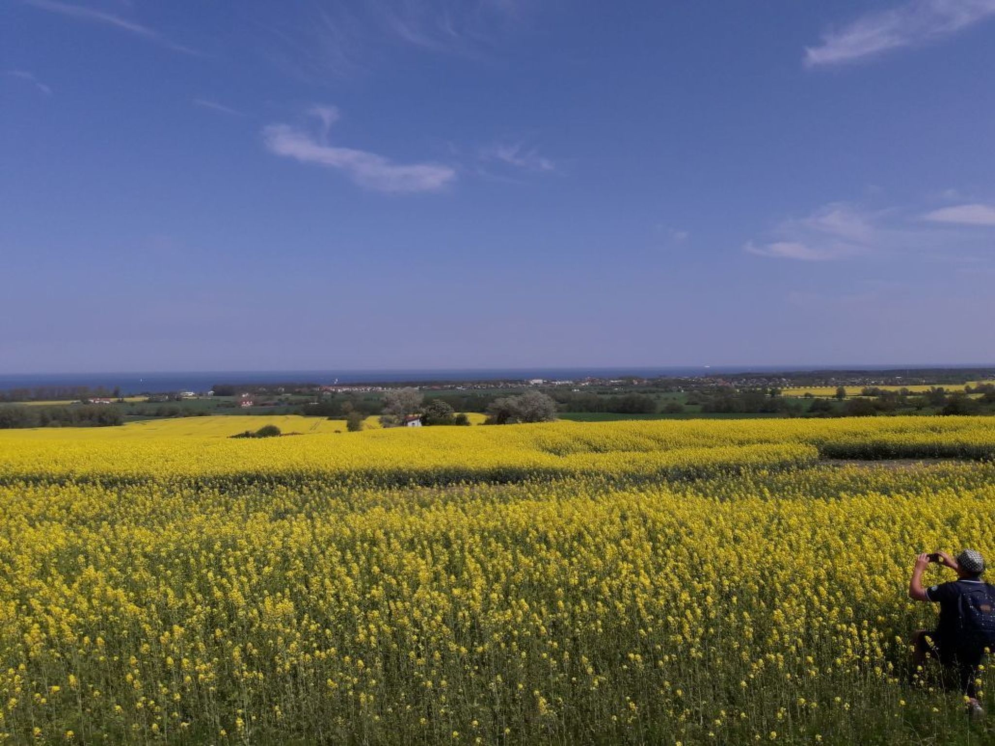 Bungalow "Lieschen"-Drinnen