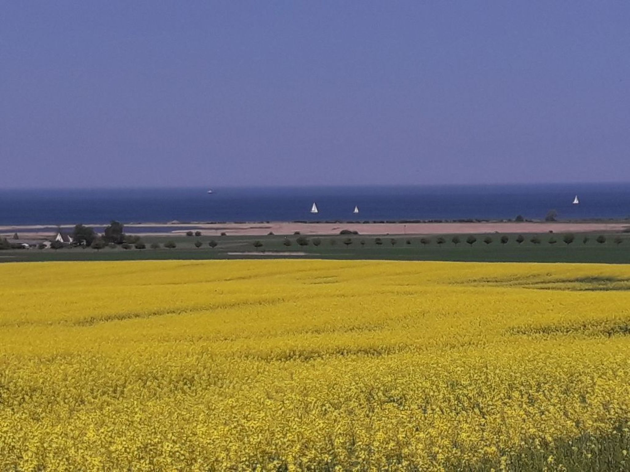 Bungalow "Lieschen"-Drinnen