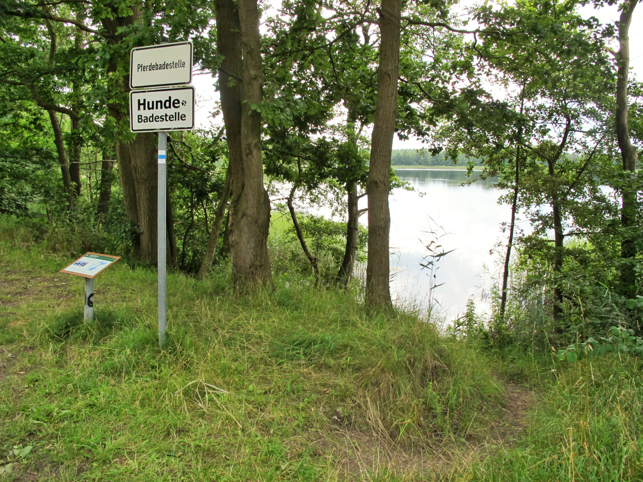 Modernes Ferienhaus mit Sauna, Seeblick, Dachterrasse und Garten-Omgeving