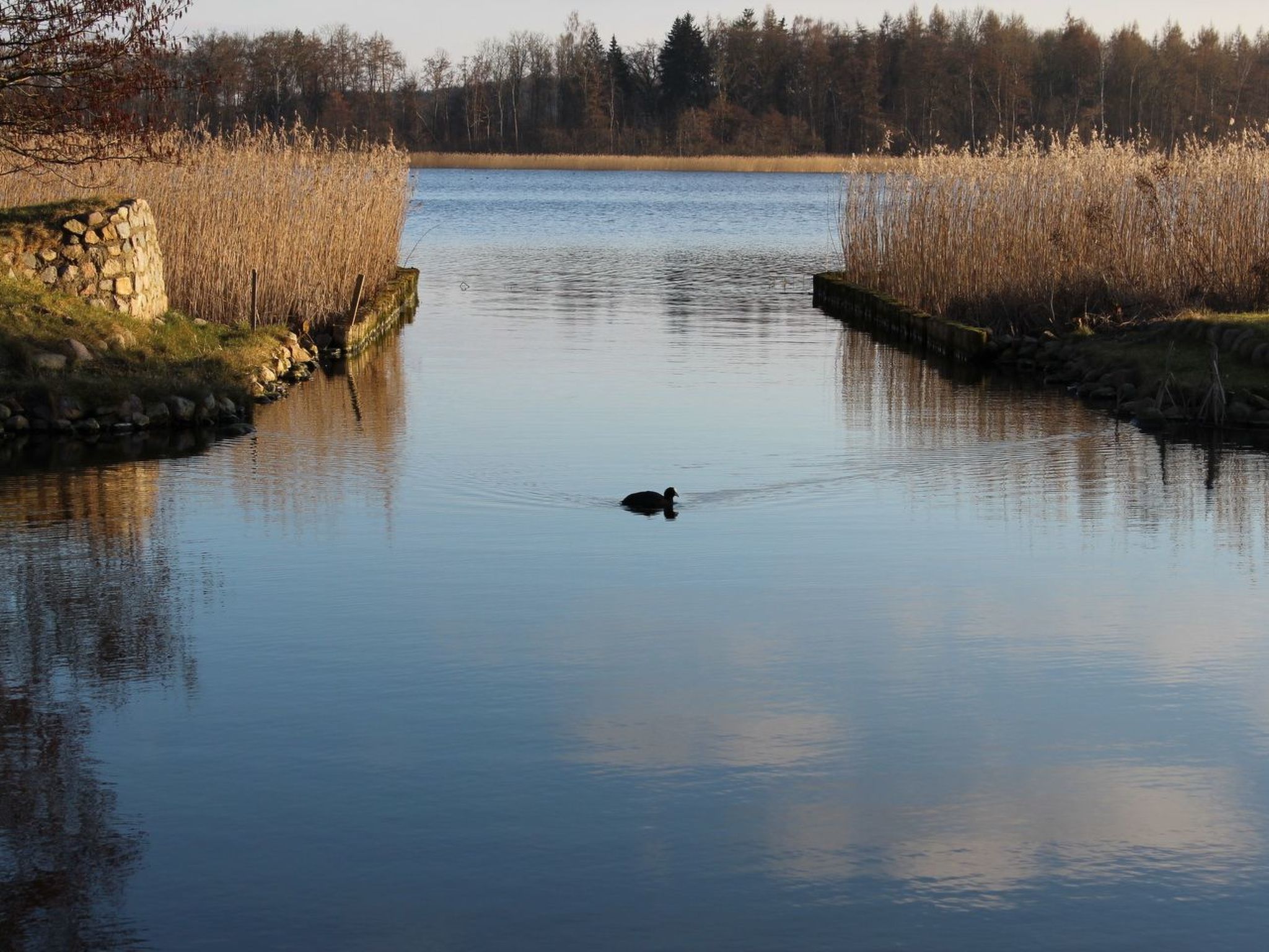 Residenz KrakowerSee-Dedans