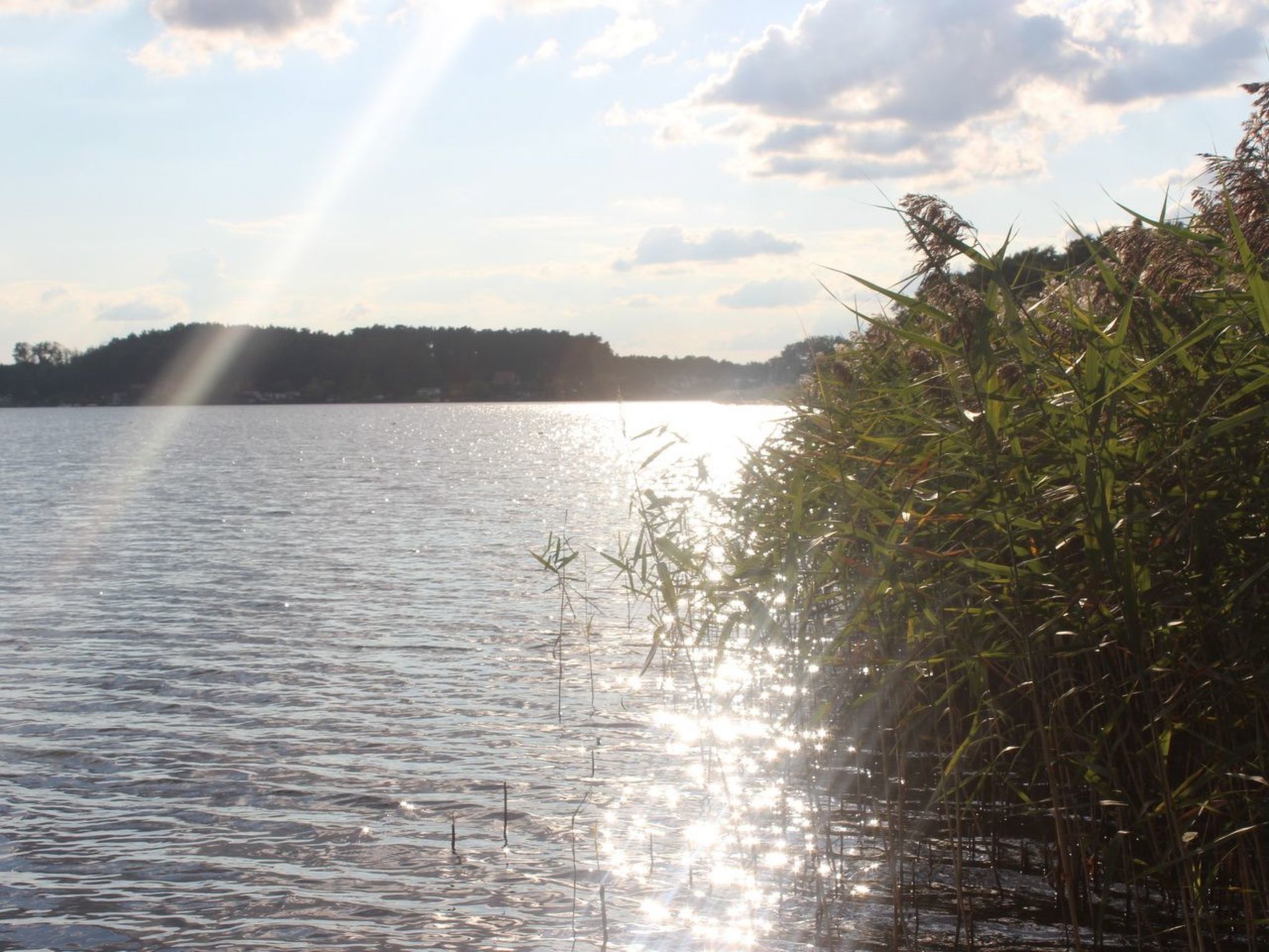 Residenz KrakowerSee-Dedans