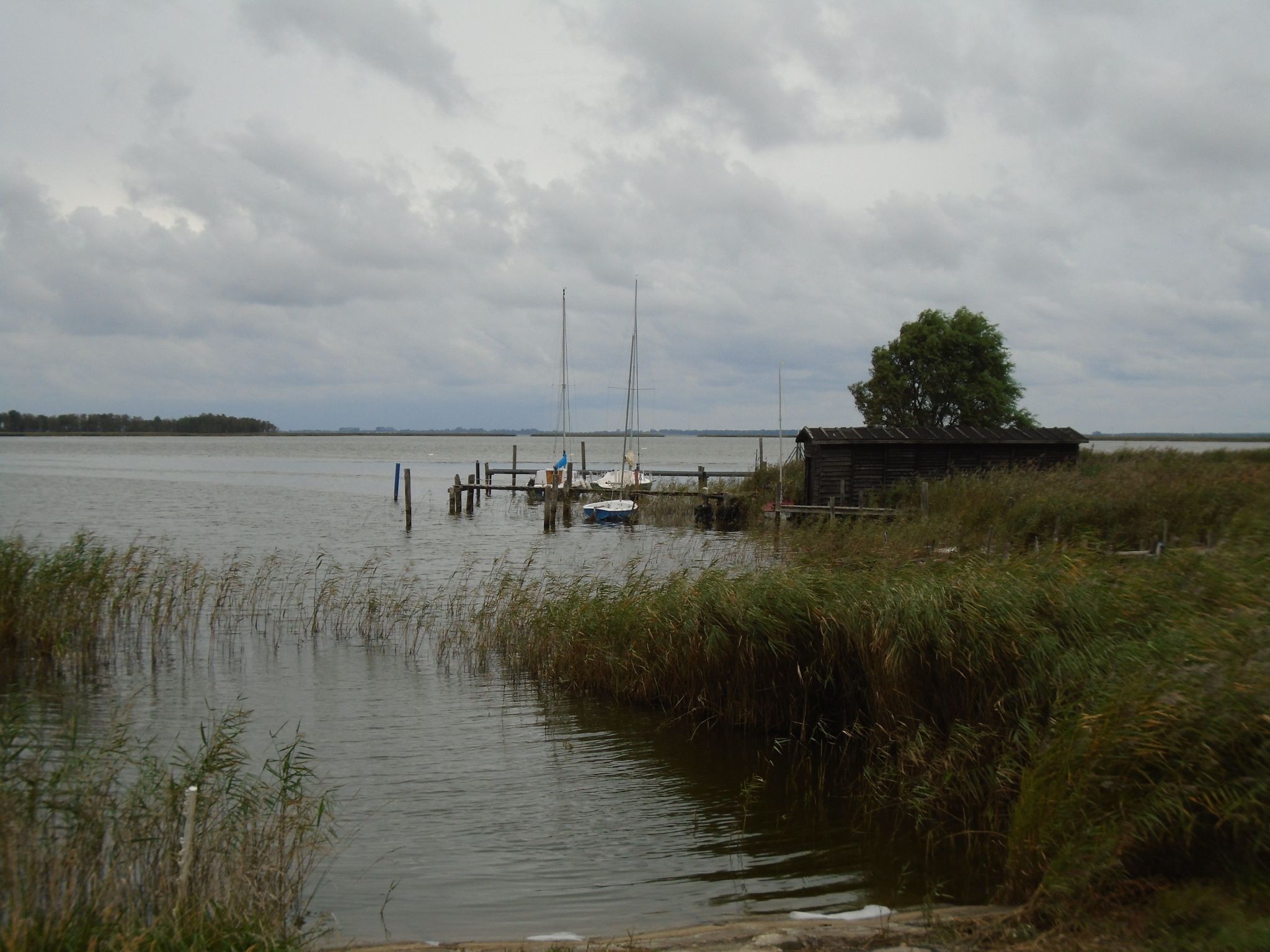 Komfortable Ferienwohnung in Zingst-Binnen