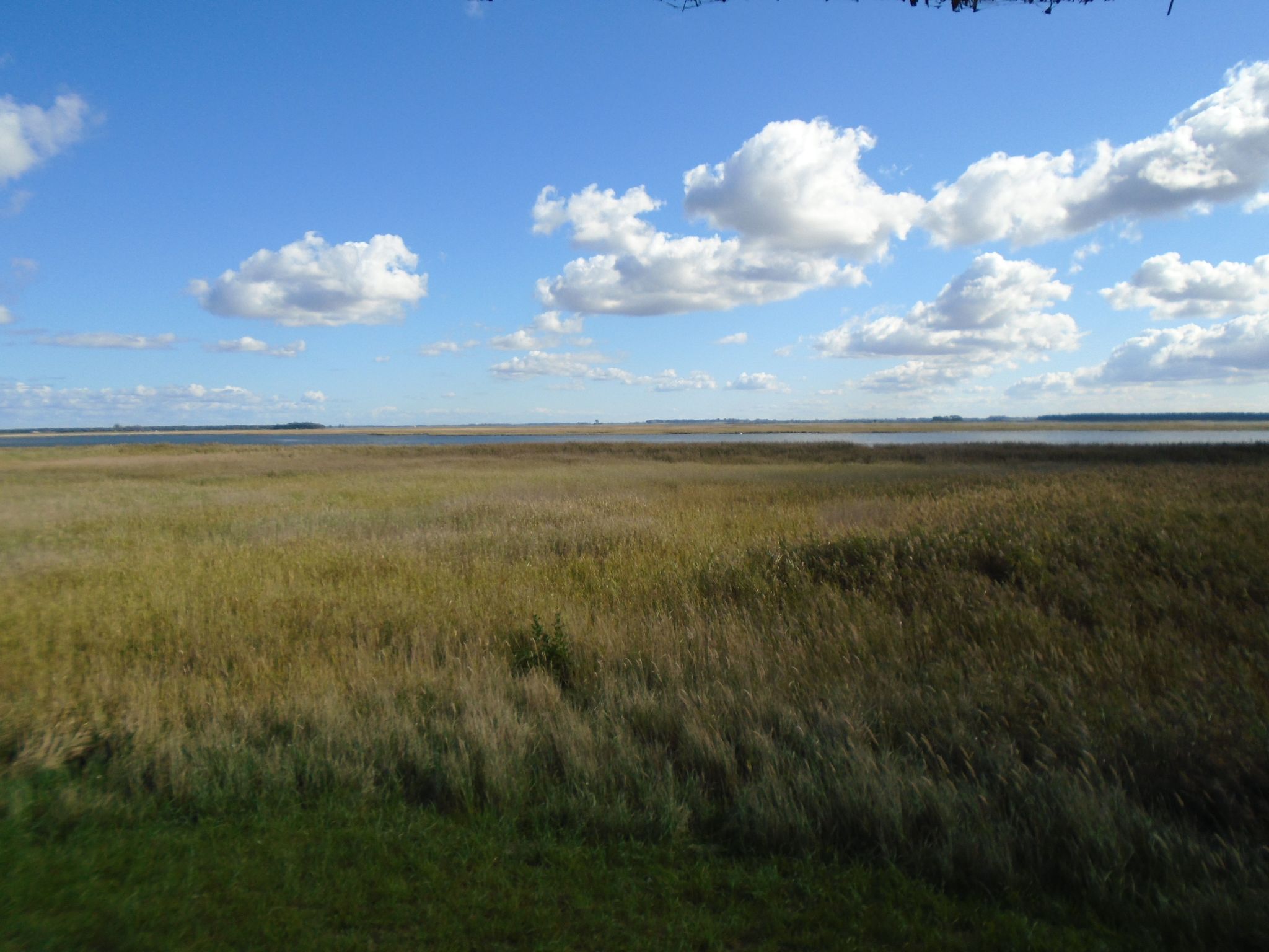 Komfortable Ferienwohnung in Zingst-Binnen