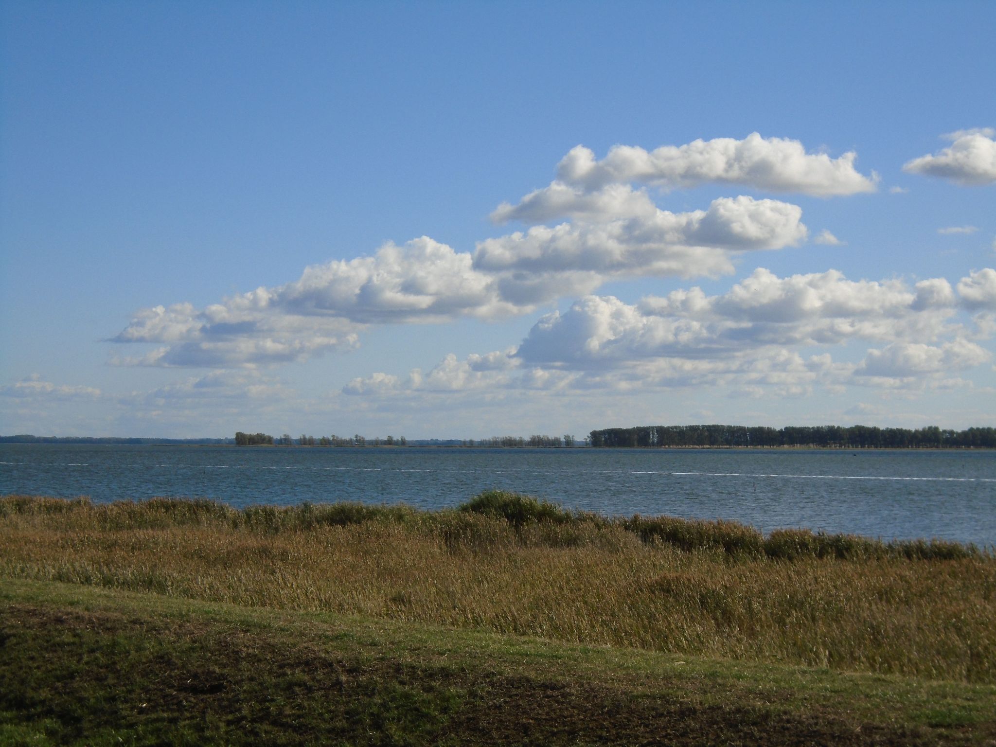 Komfortable Ferienwohnung in Zingst-Binnen