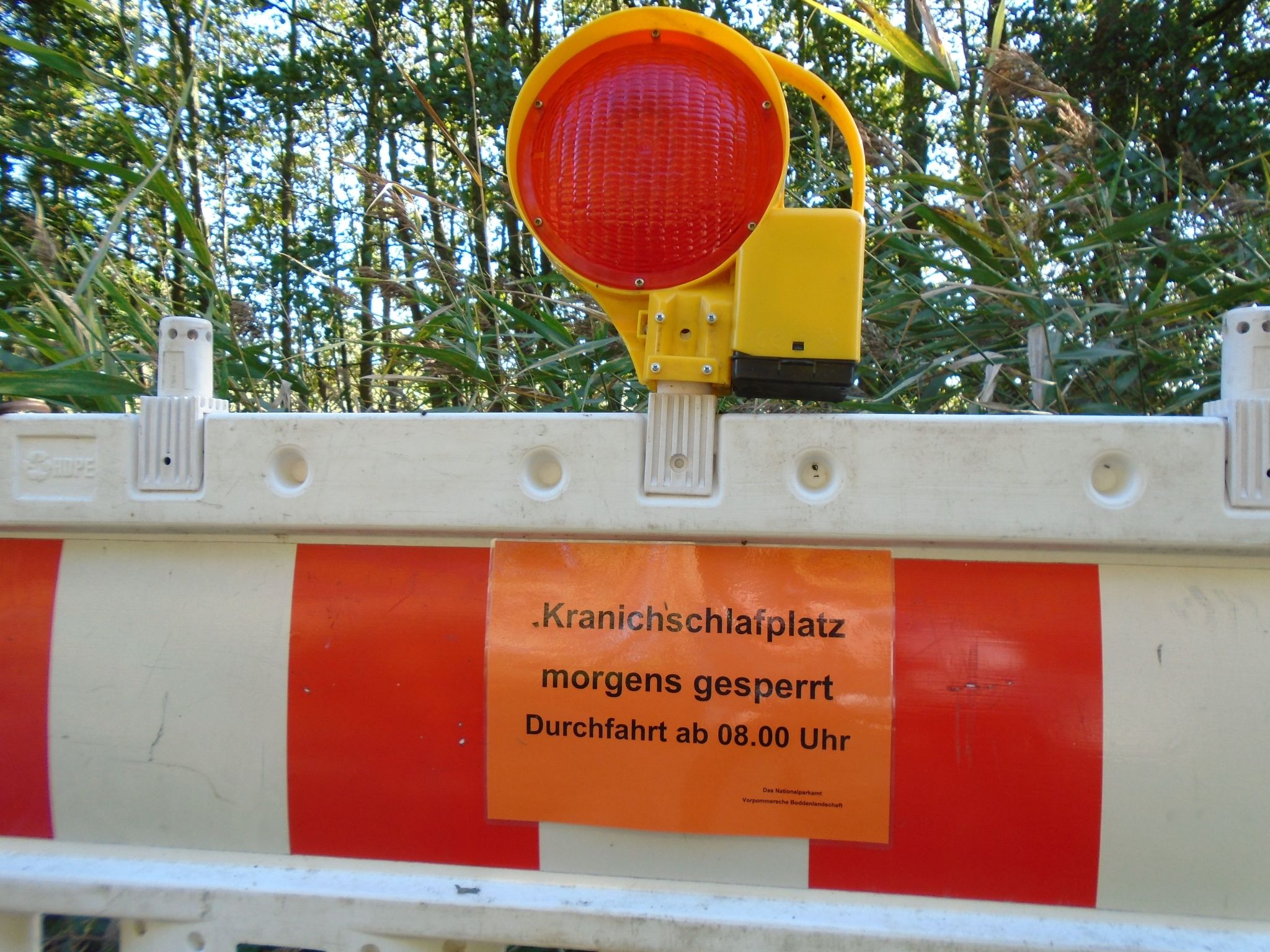 Komfortable Ferienwohnung in Zingst-Binnen