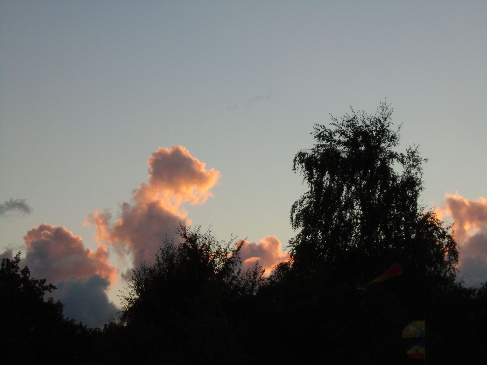 Komfortable Ferienwohnung in Zingst