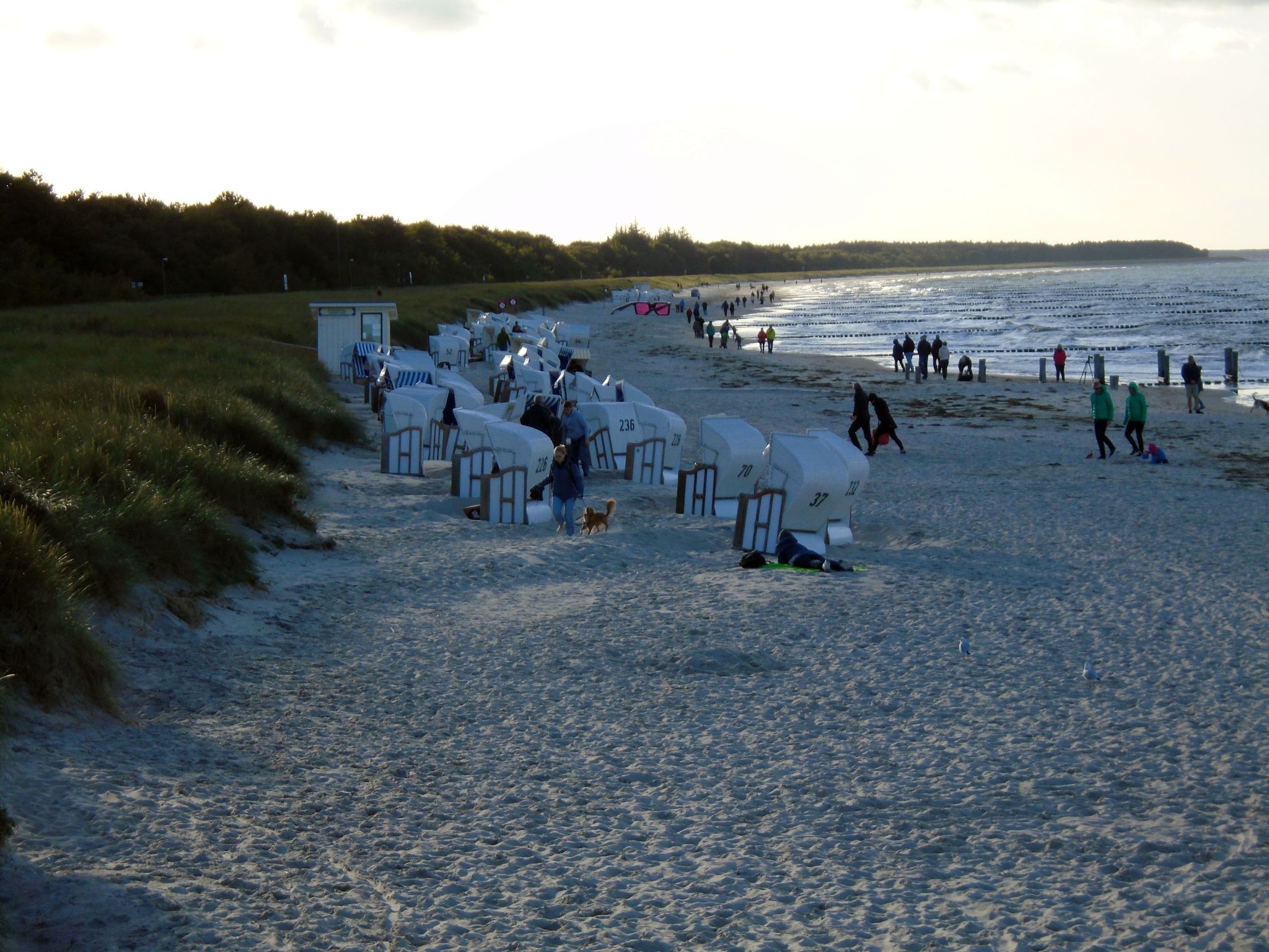 Komfortable Ferienwohnung in Zingst-Binnen