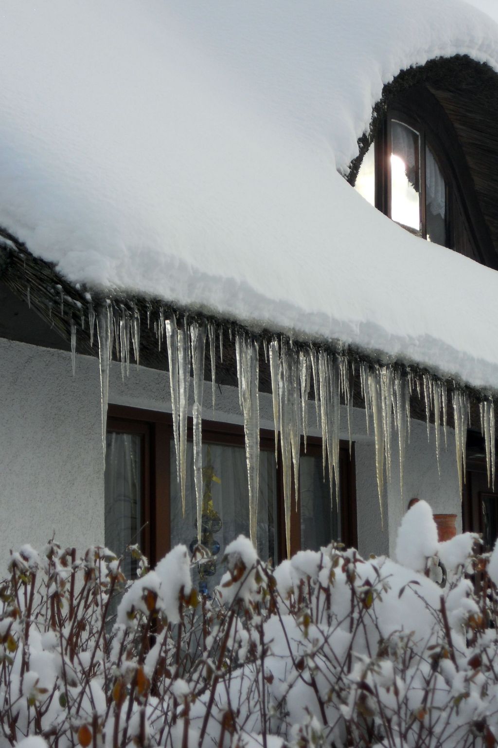 Komfortable Ferienwohnung in Zingst-Binnen