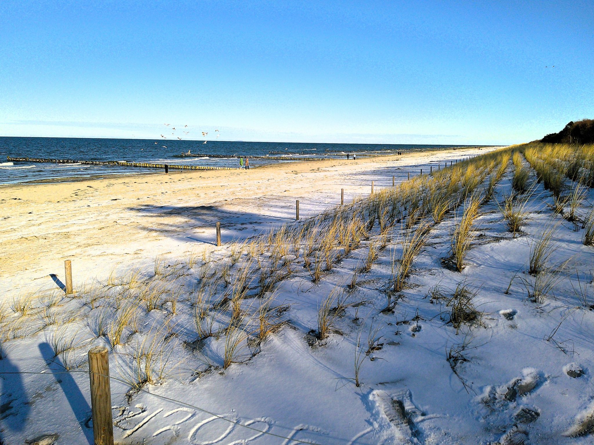 Kleine Ferienwohnung mit Garten und Terrasse-Binnen