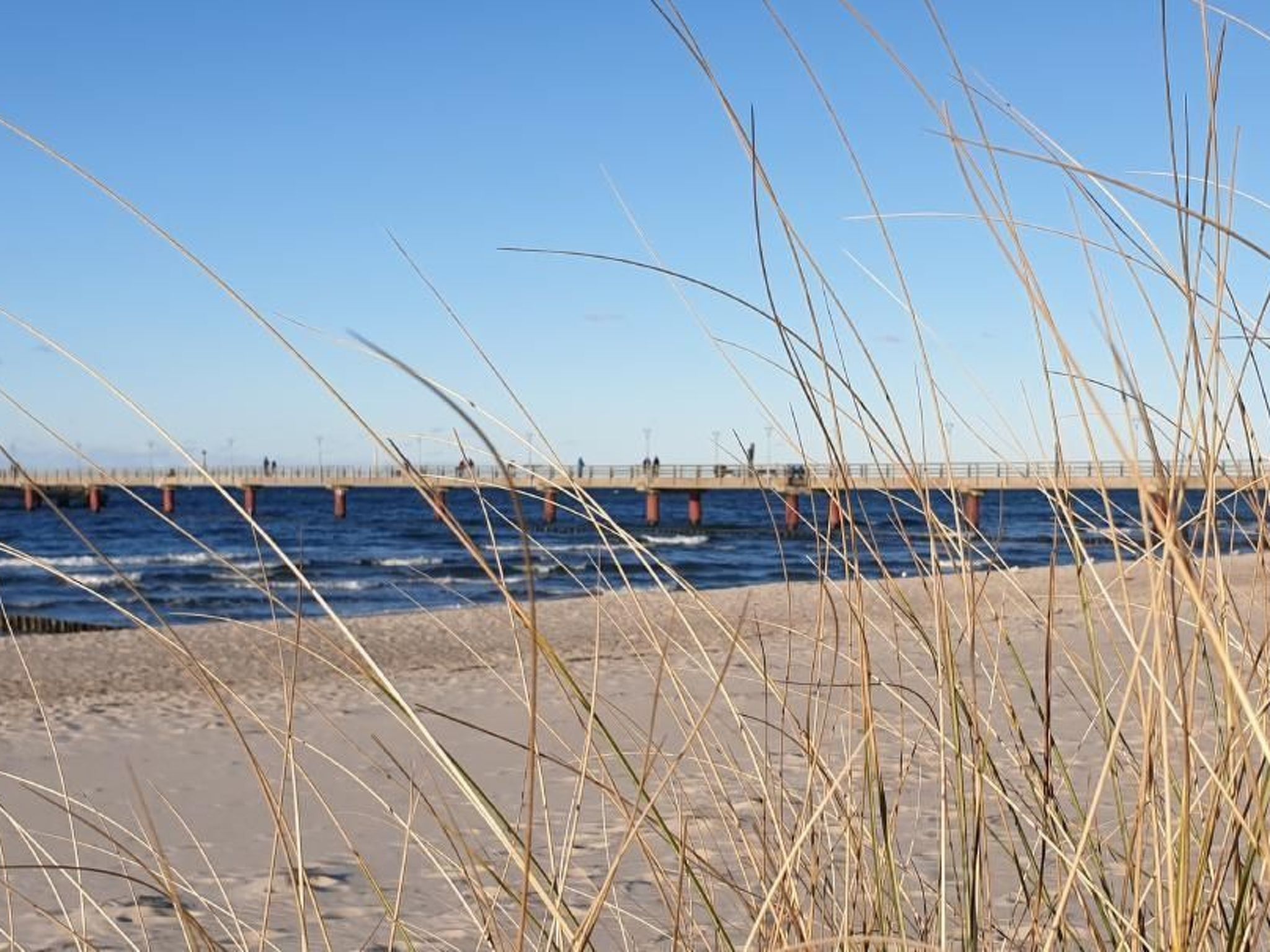 Haus Seeteufel-Image-tags.info