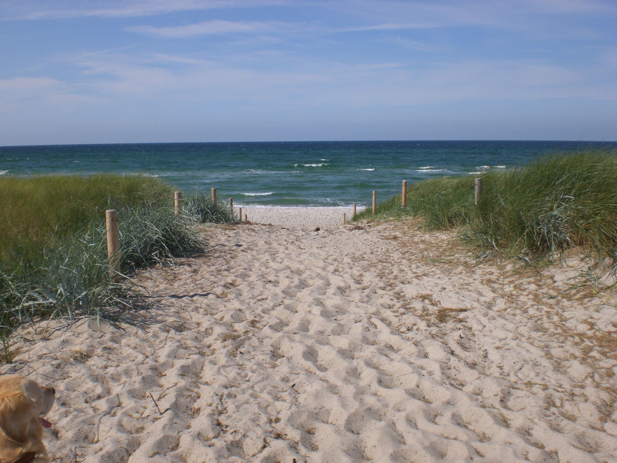 Appartement Achtern-Diek-am-Strand in Zingst-Binnen