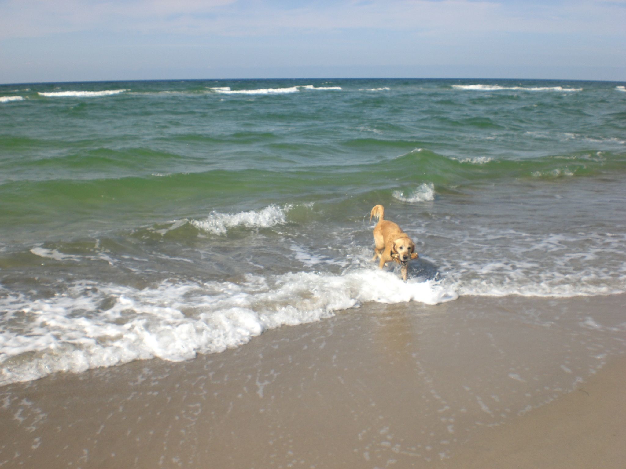 Appartement Achtern-Diek-am-Strand in Zingst-Binnen