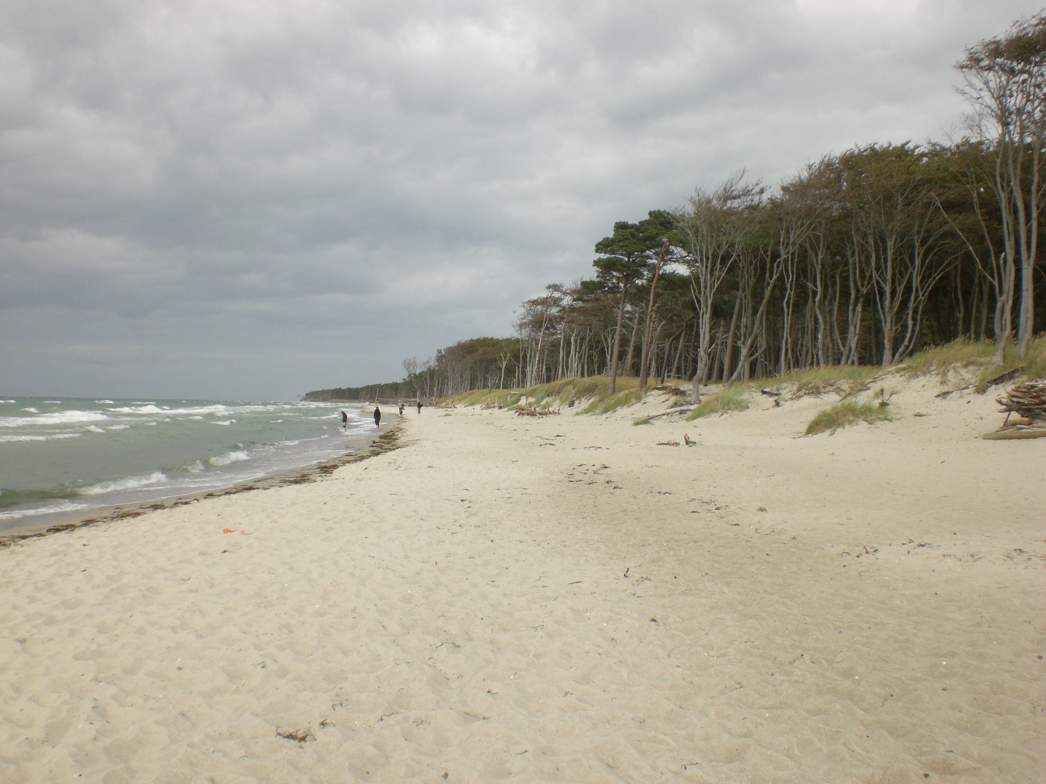 Appartement Achtern-Diek-am-Strand in Zingst-Binnen