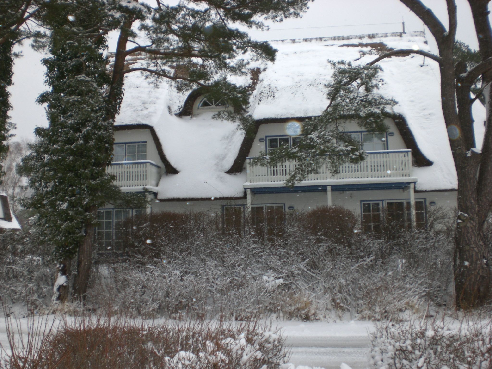 Appartement Achtern-Diek-am-Strand in Zingst-Binnen