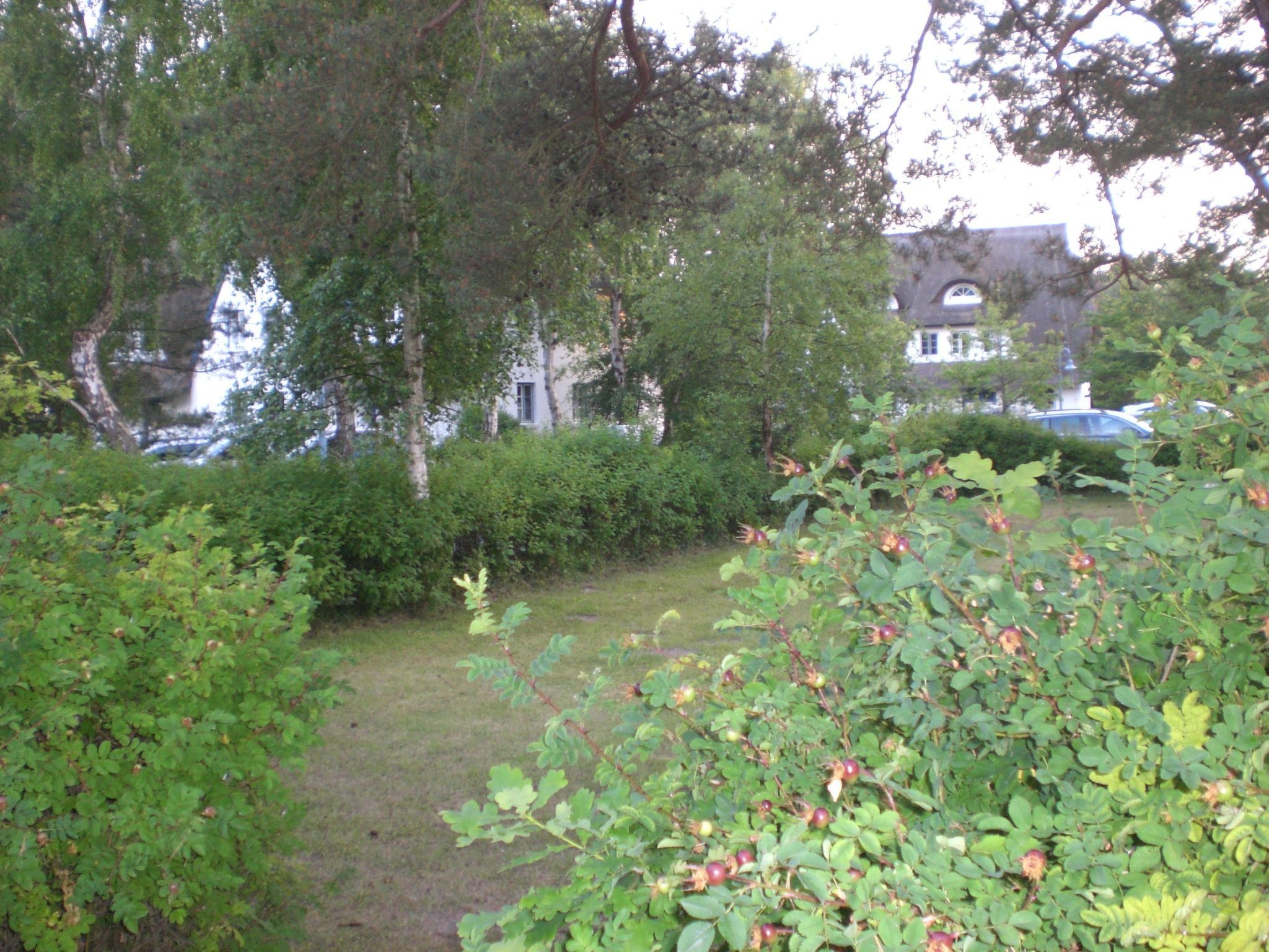 Appartement Achtern-Diek-am-Strand in Zingst-Binnen