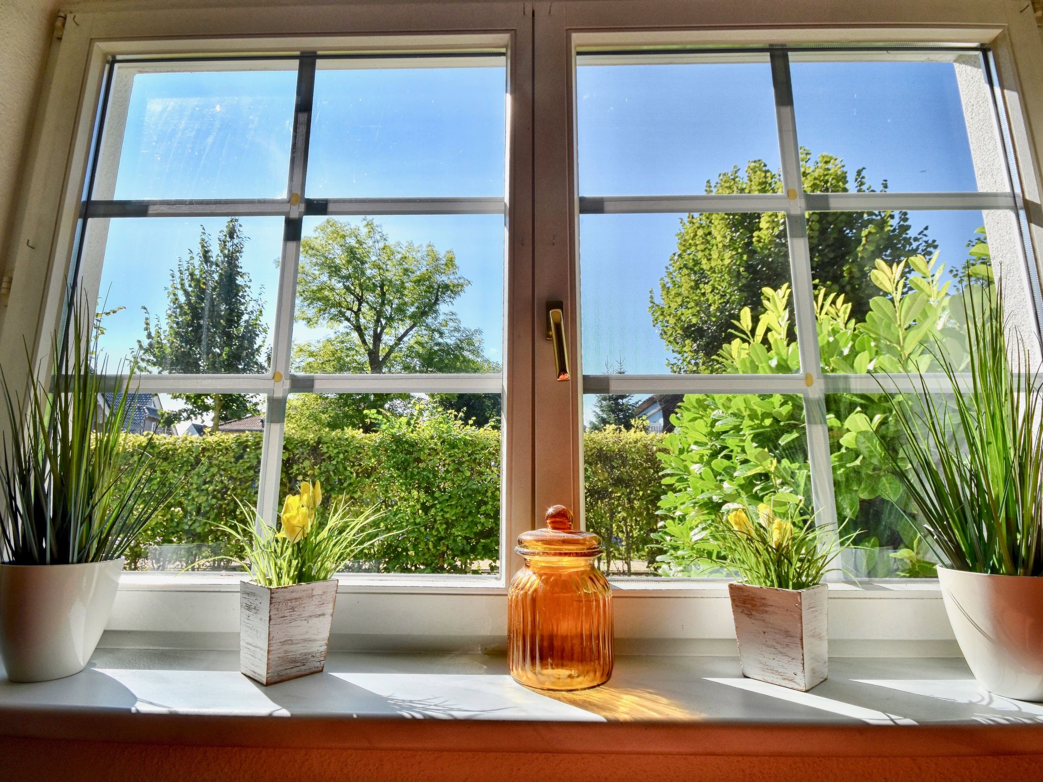 Familiäres, charmantes Appartement in Zingst-Binnen