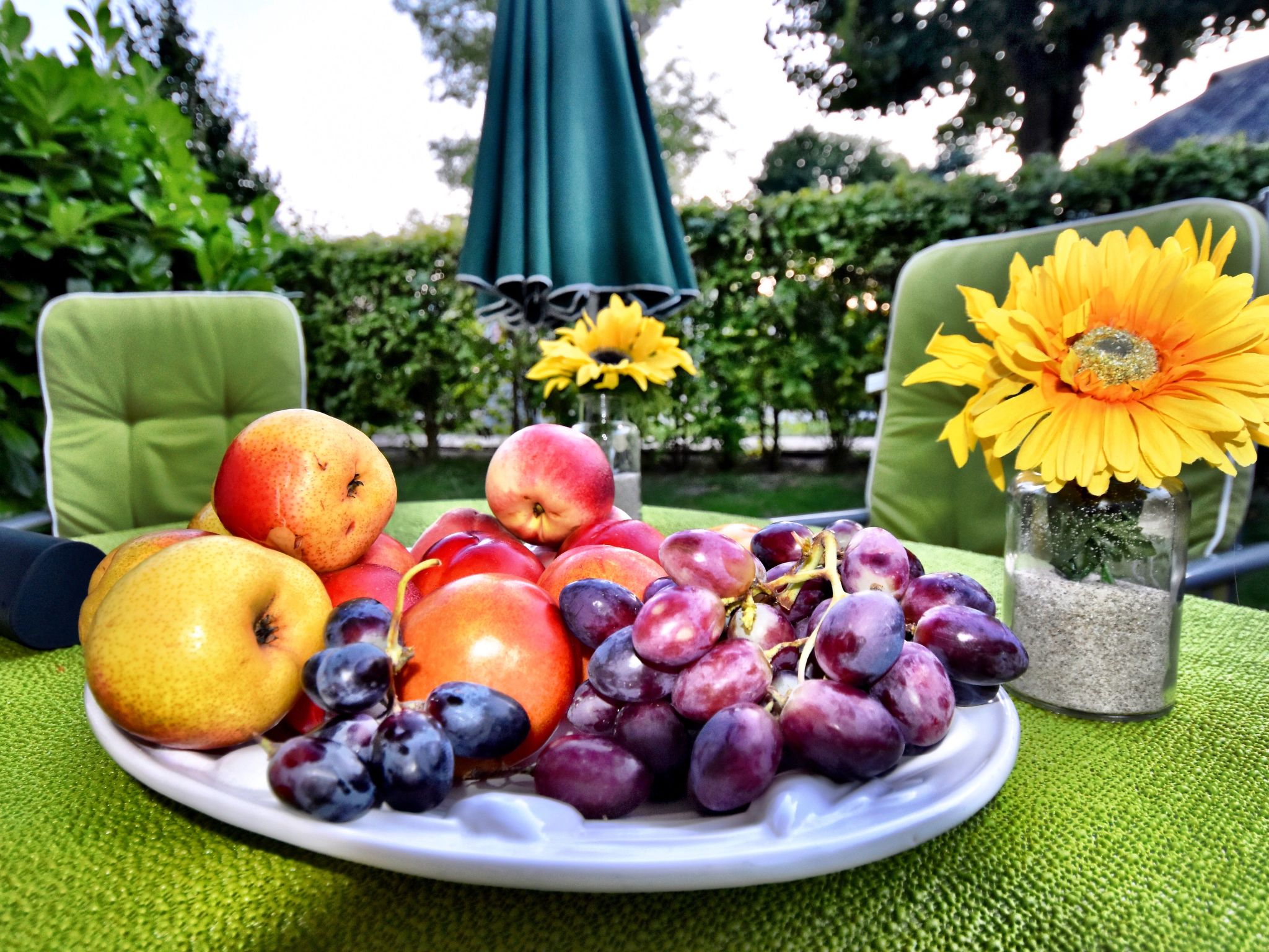 Familiäres, charmantes Appartement in Zingst-Binnen