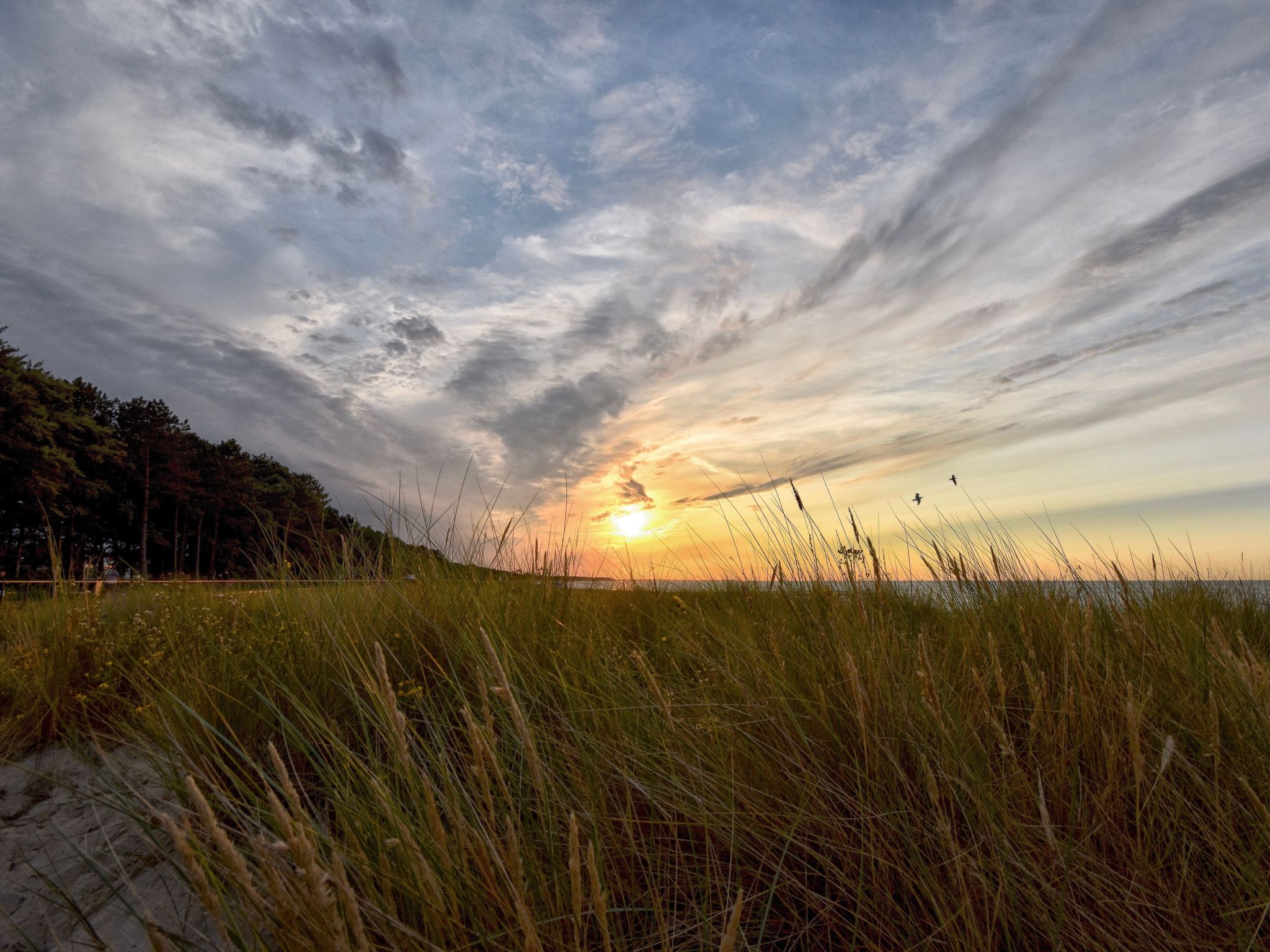 Familiäres, charmantes Appartement in Zingst-Binnen
