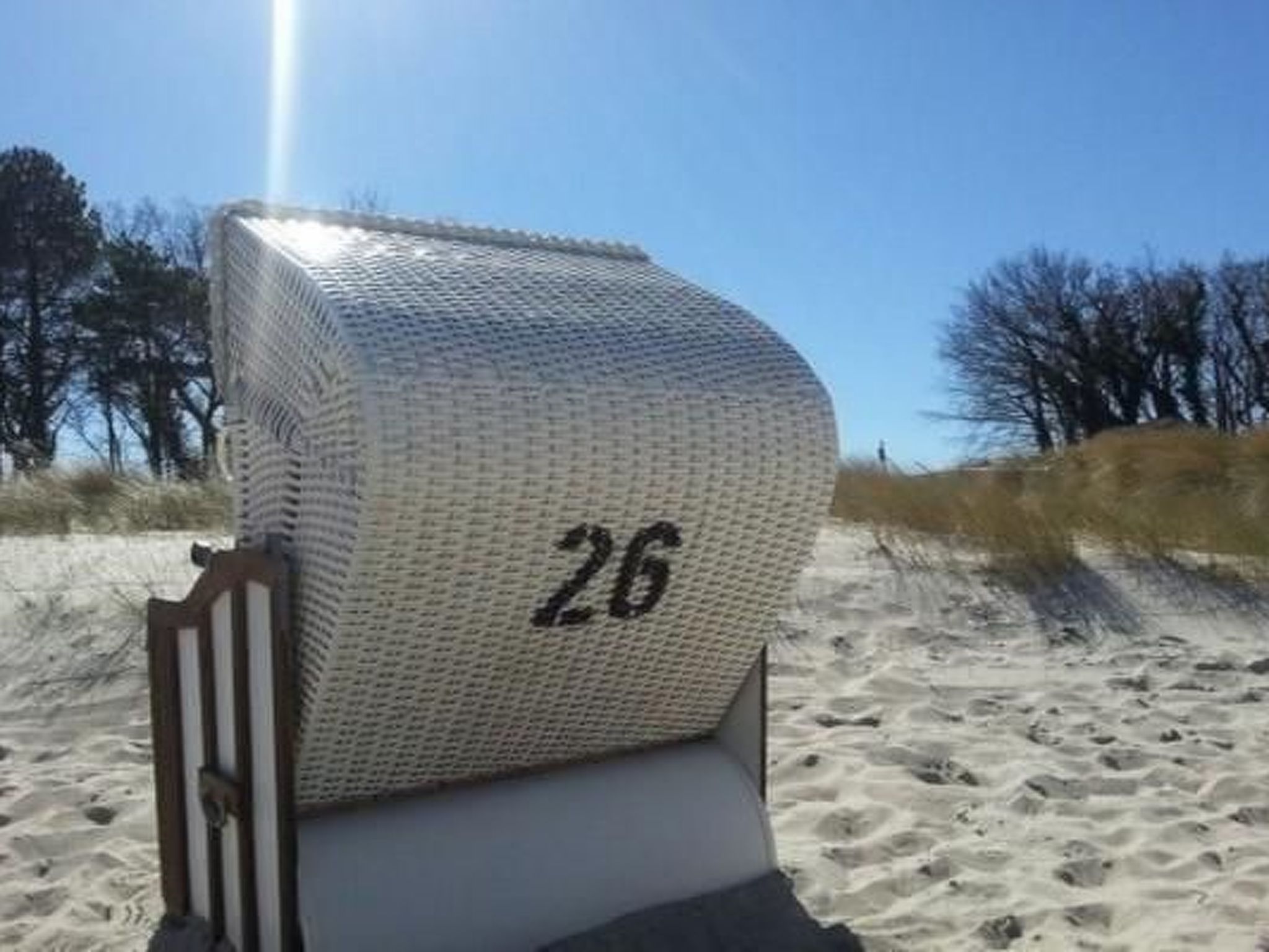 Familiäres, charmantes Appartement in Zingst-Binnen