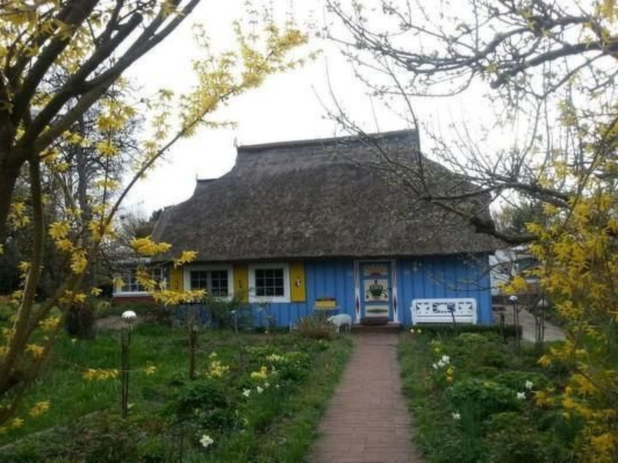 Familiäres, charmantes Appartement in Zingst-Binnen