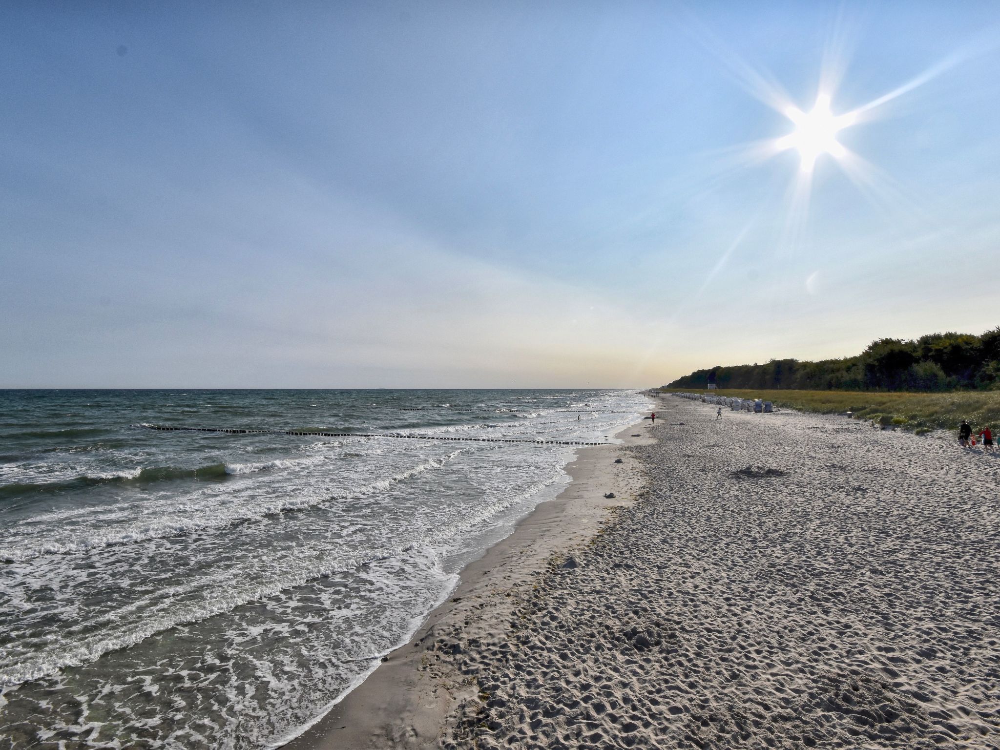 Familiäres, charmantes Appartement in Zingst-Binnen