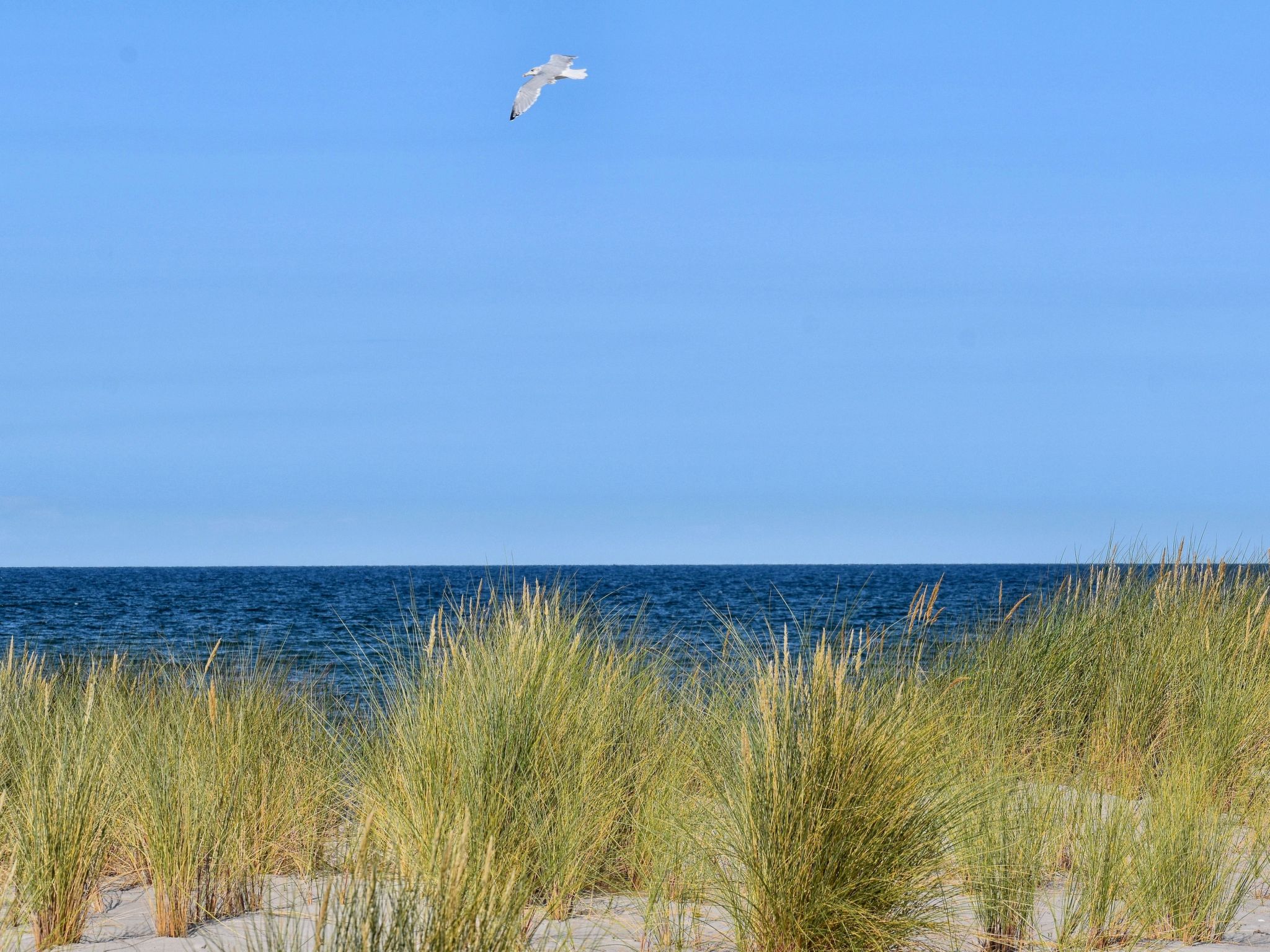 Appartement Familiäres, charmantes Appartement in Zingst – Plage, photo 34 sur 38