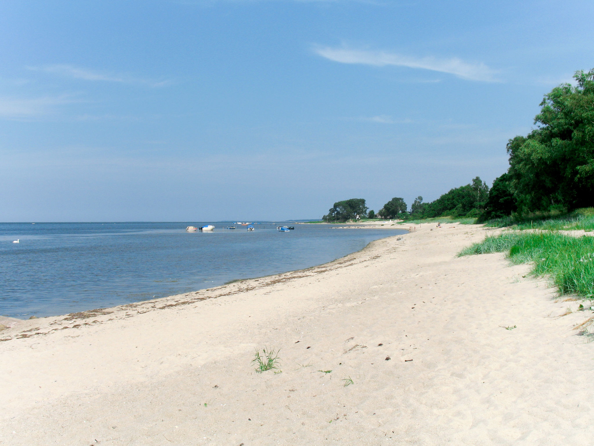 Henry-Area