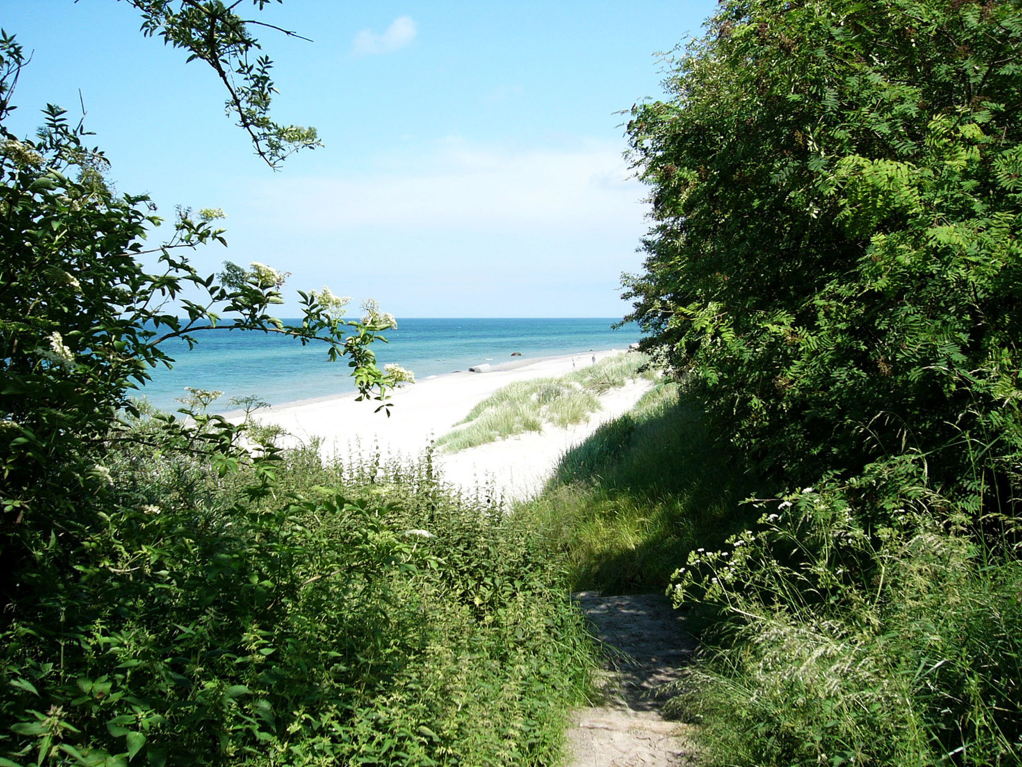 Ostseeblick-Omgeving