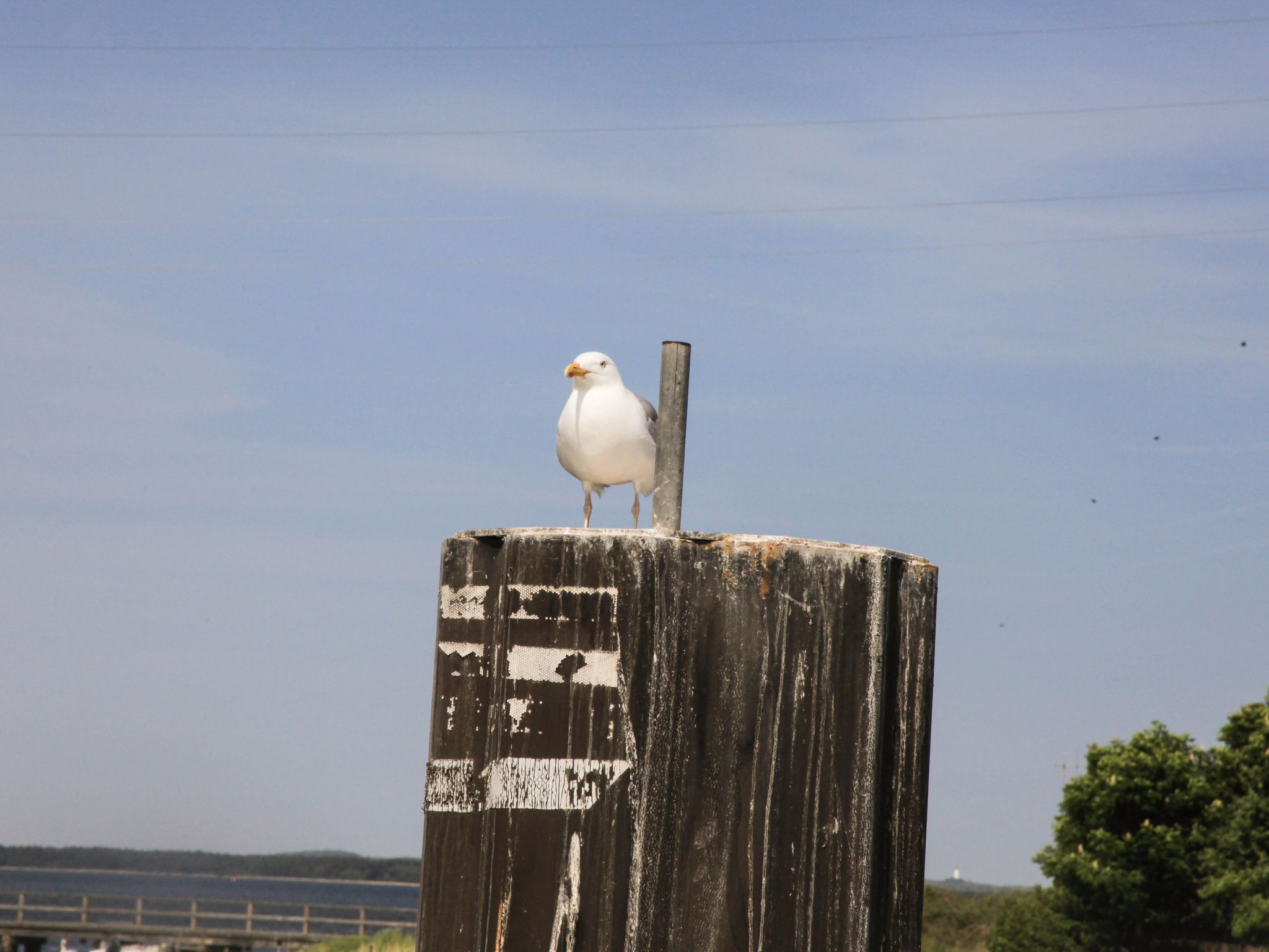Ostseebrandung in Dranske-Inside