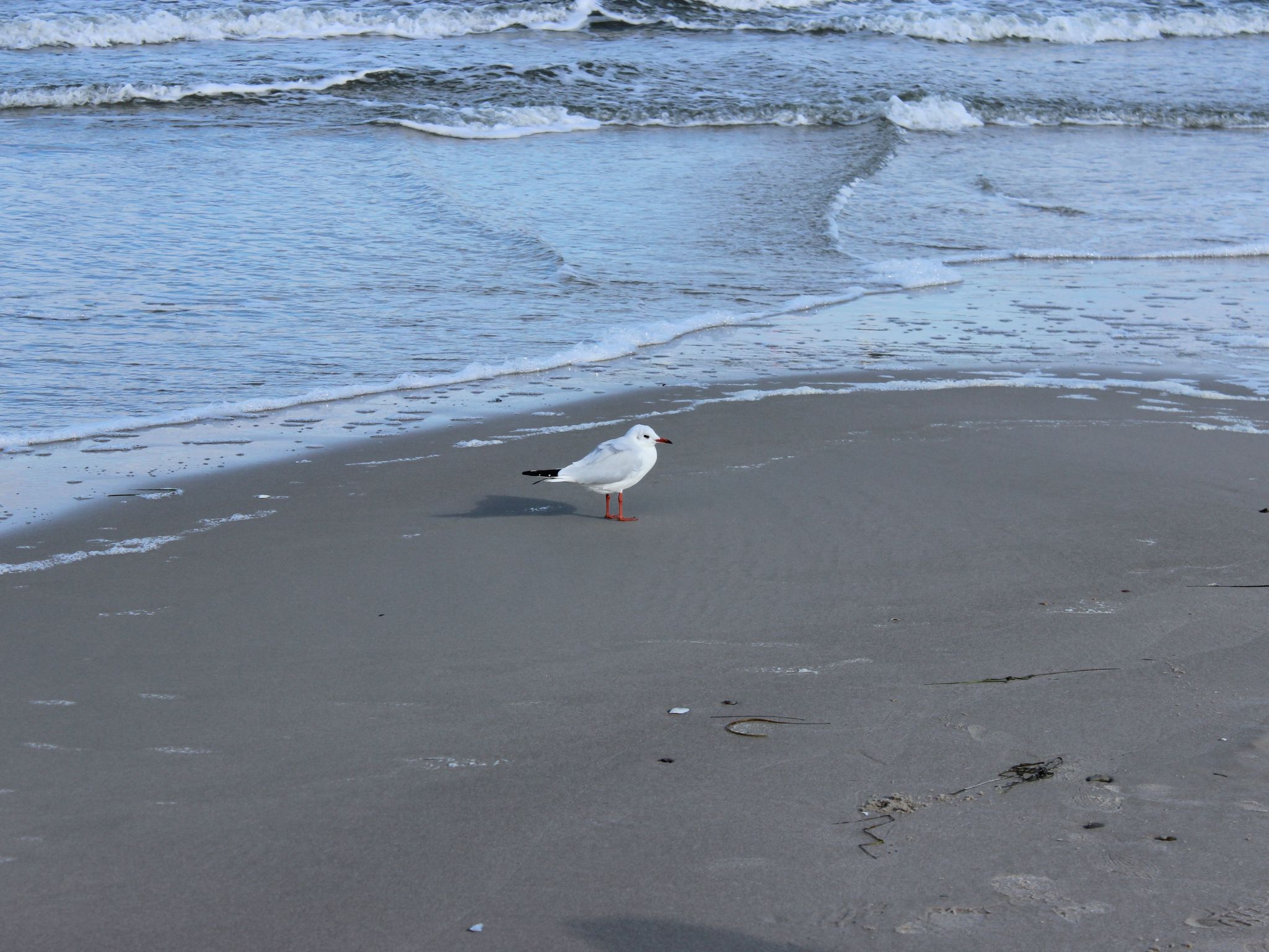 Ostseebrandung in Dranske-Inside