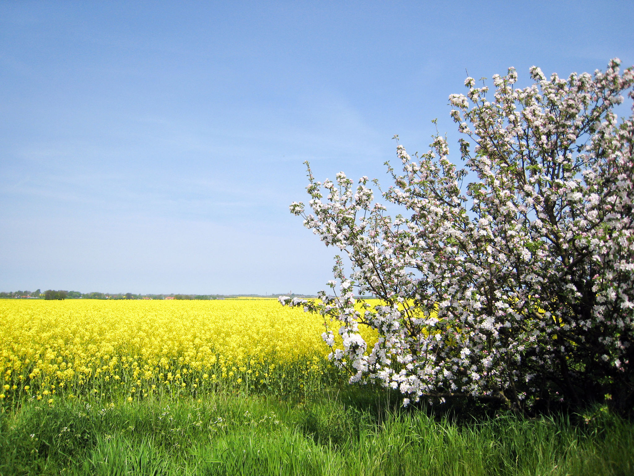 in Lancken mit Grill und Garten