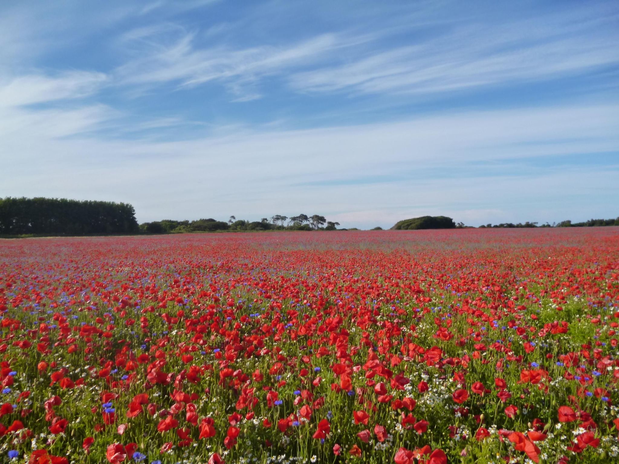 Freistehendes Ferienhaus in Lancken mit Sauna-Binnen