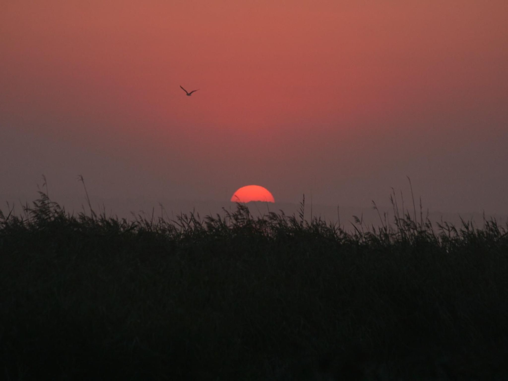 Gemütliches Ferienhaus mit eigener Terrasse-Image-tags.info