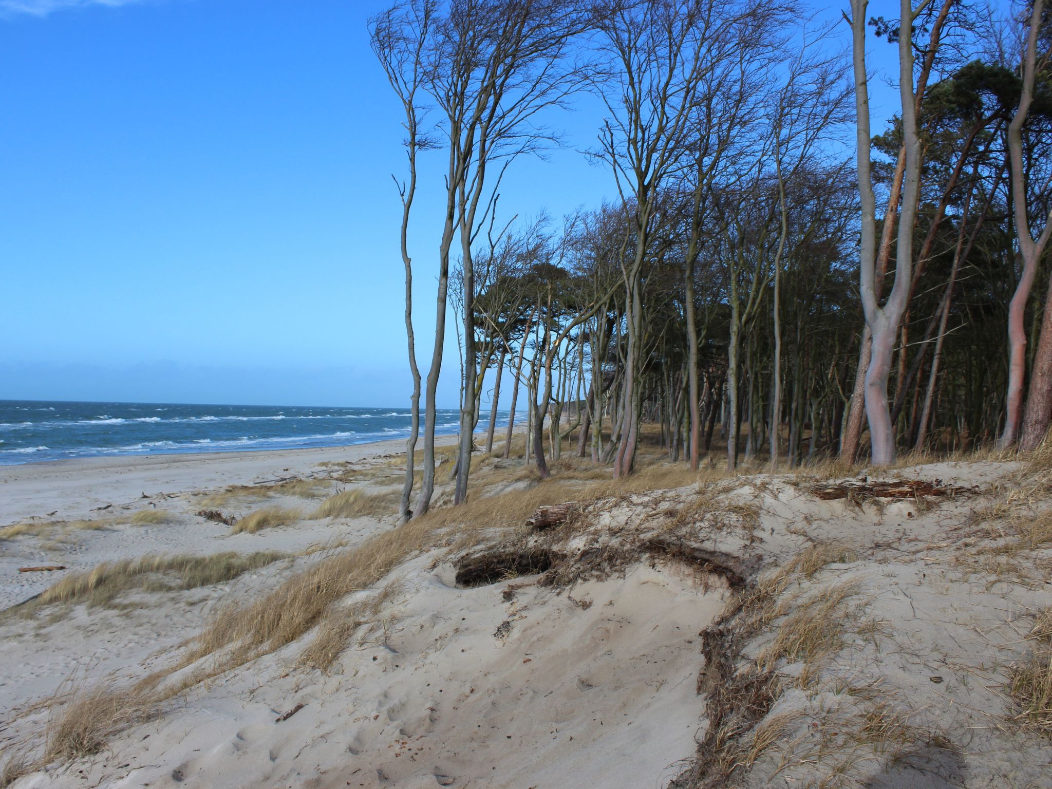 Gemütliches Ferienhaus mit eigener Terrasse-Image-tags.info