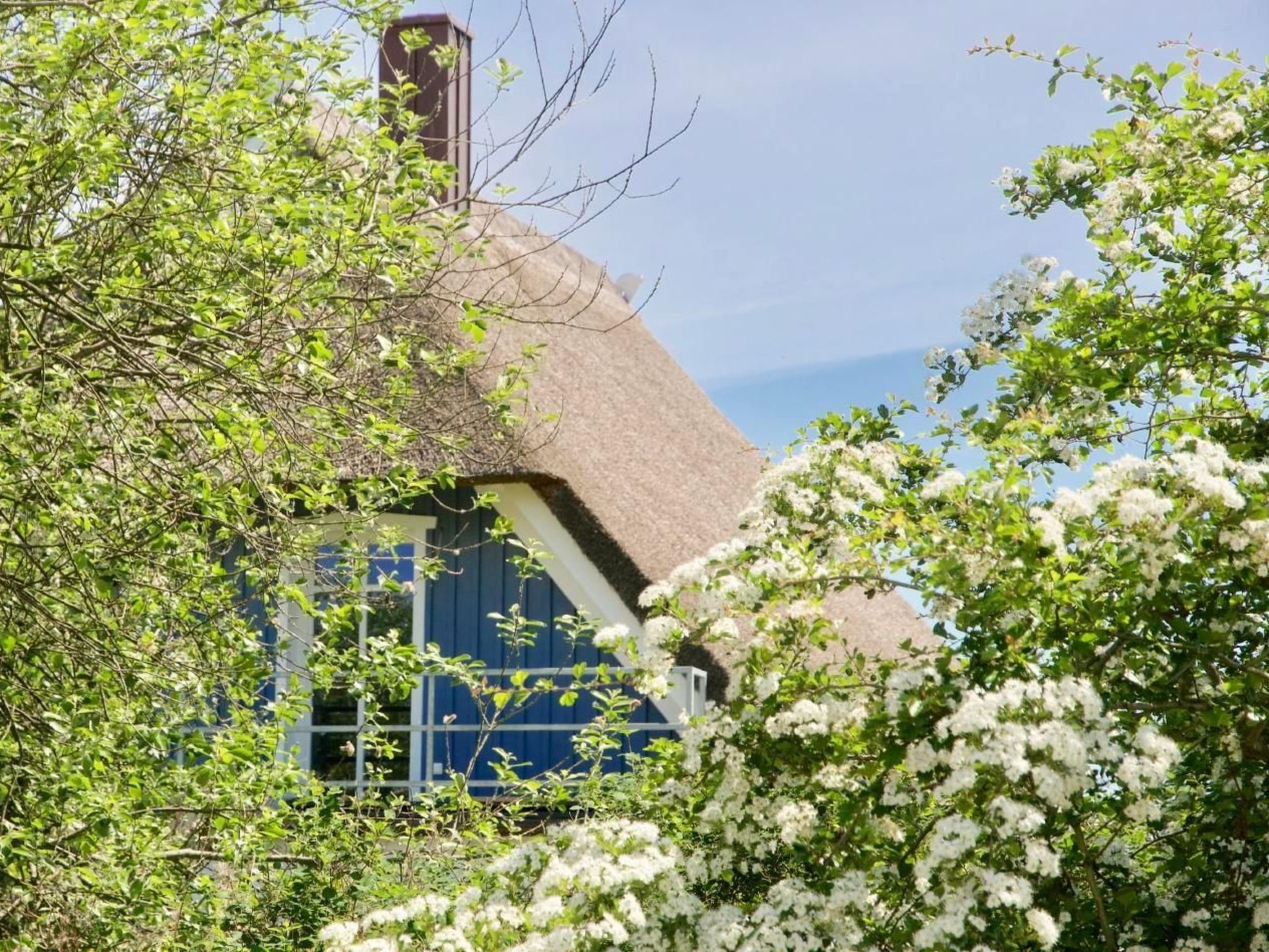 Haus Meerblau-Image-tags.info