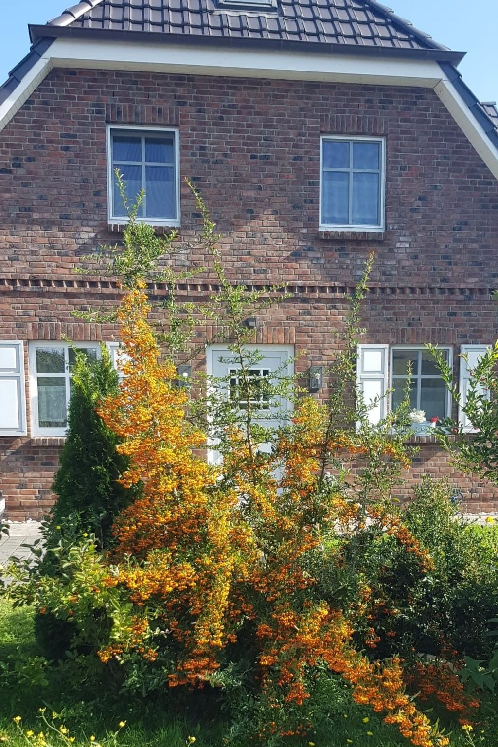 Admiral's Corner Luv-Binnen