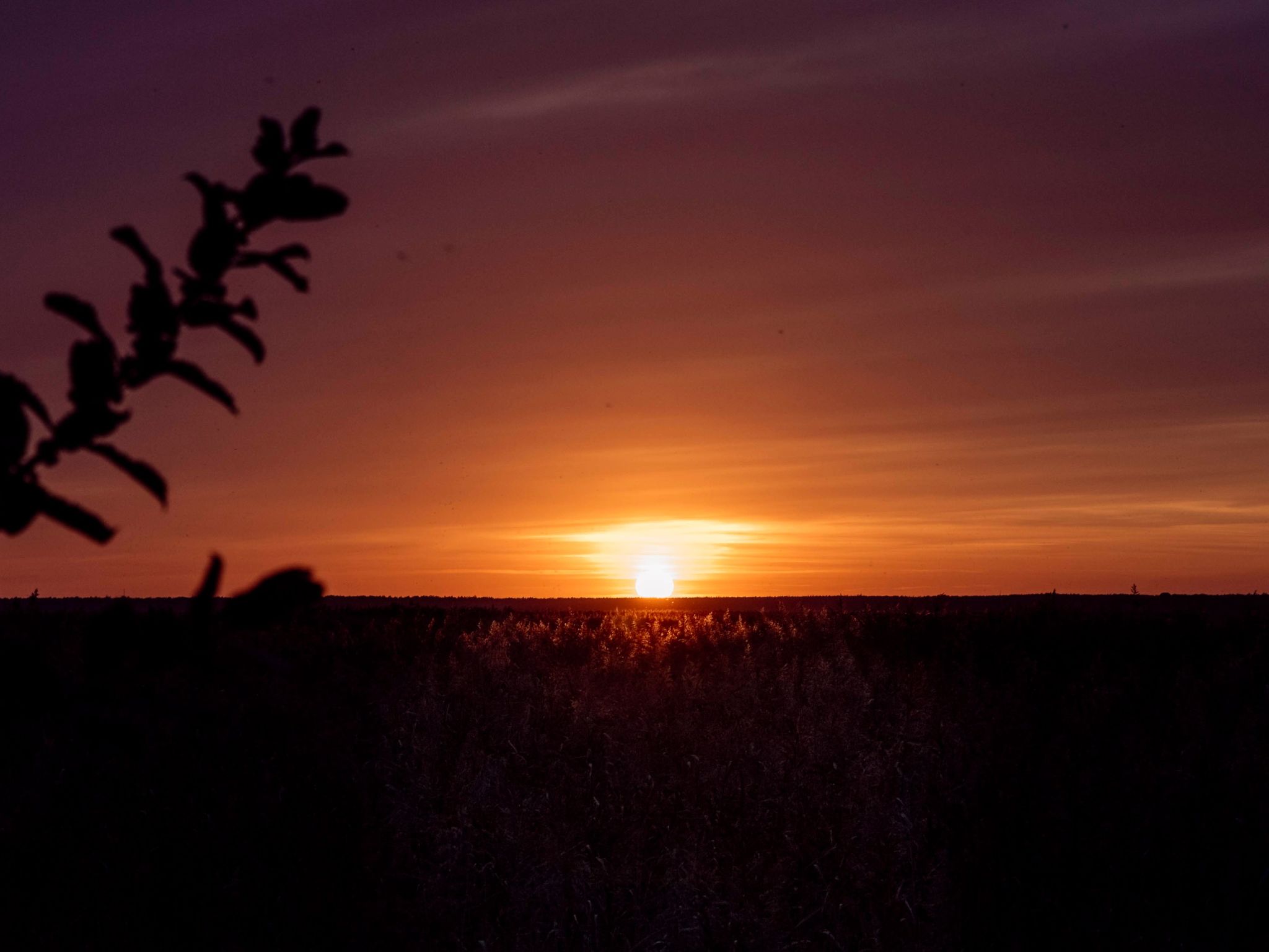 Admiral's Corner Luv-Binnen