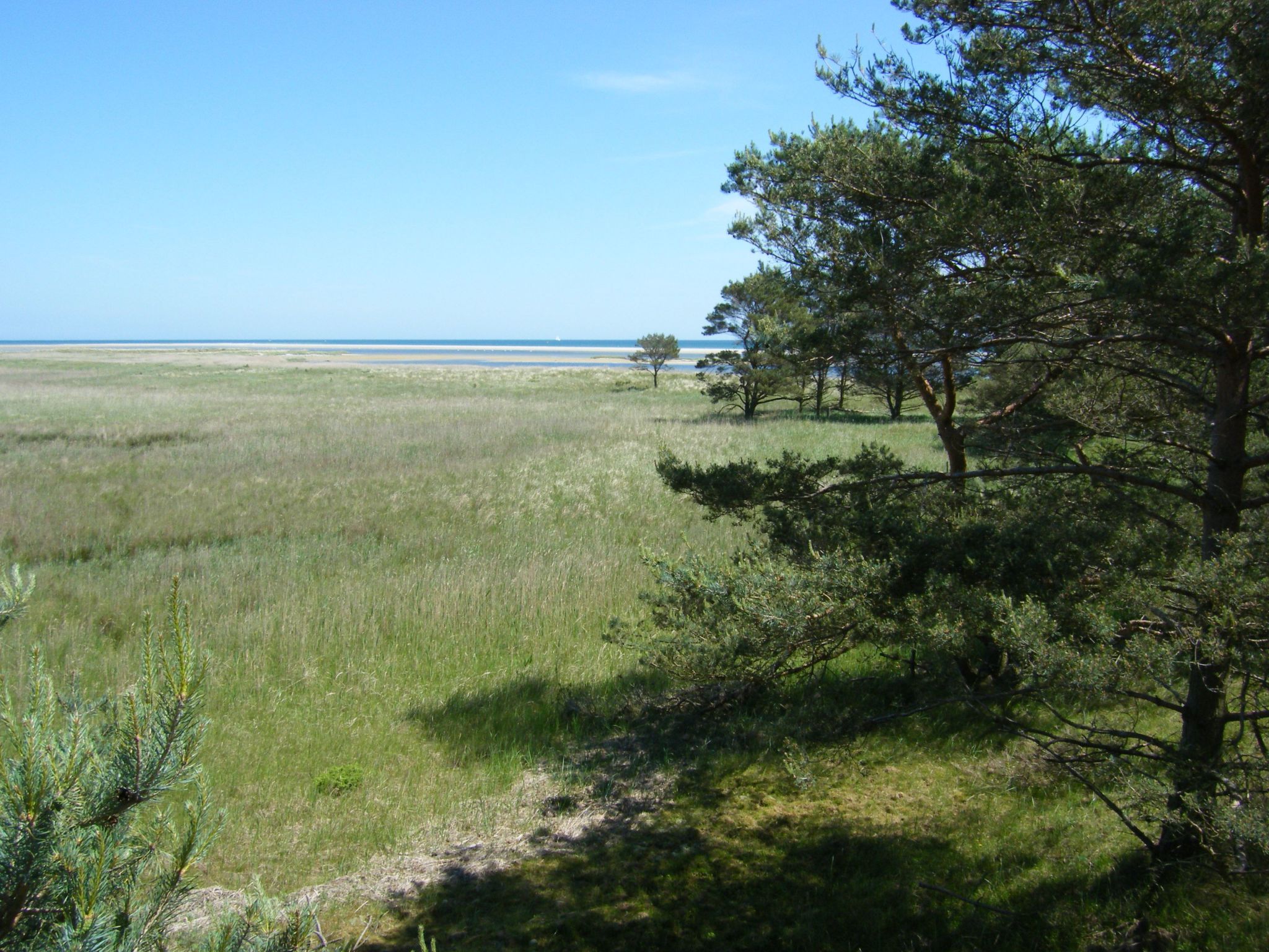 Admiral's Corner Luv-Binnen