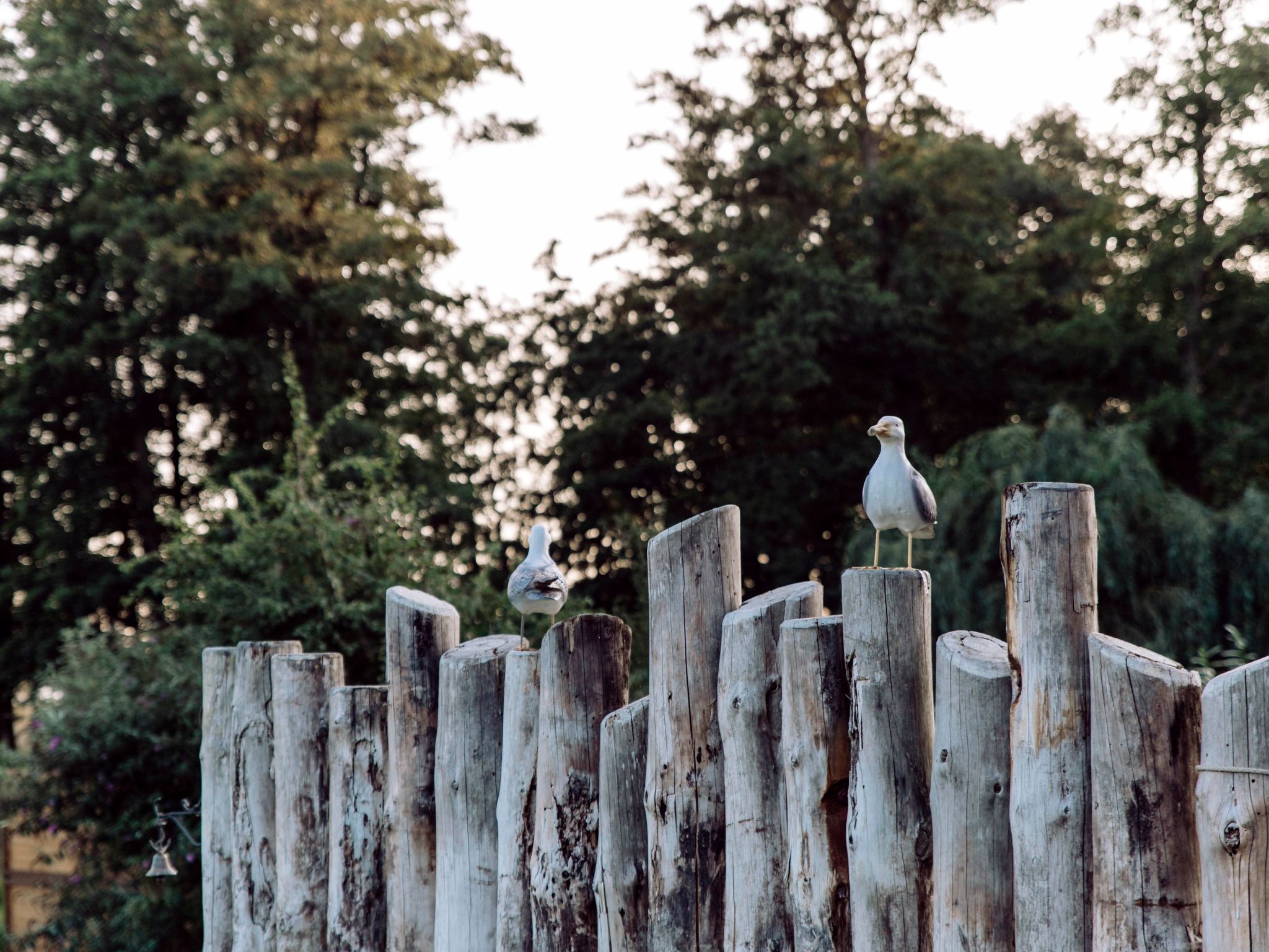 Admiral's Corner Lee-Binnen