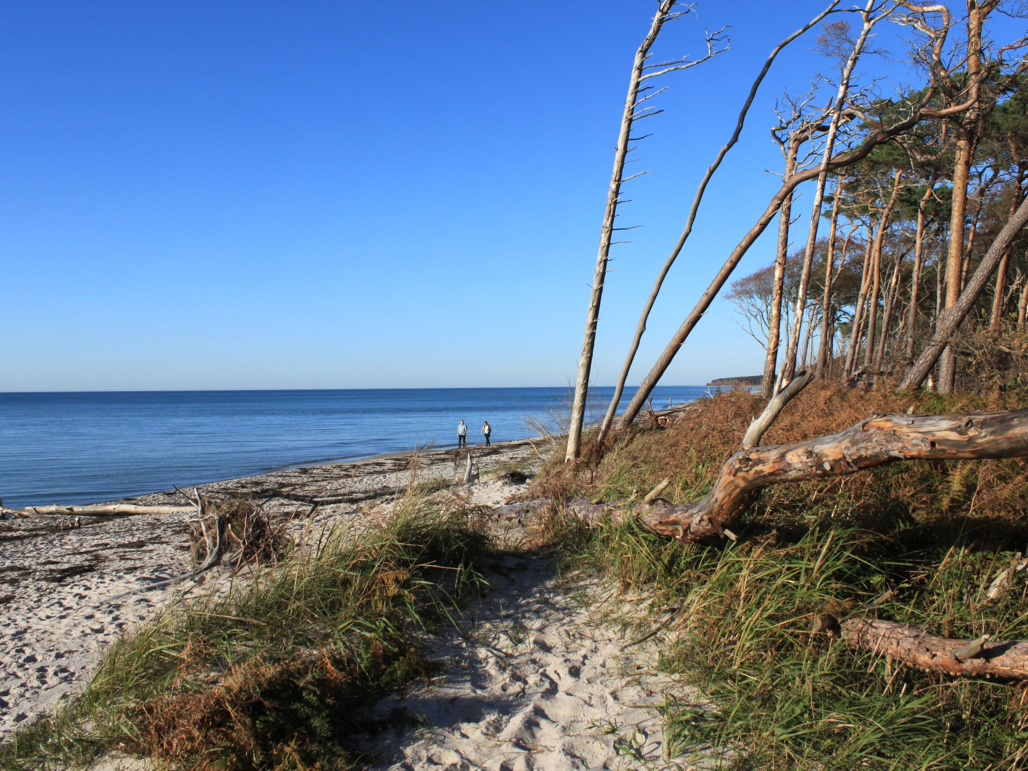 Admiral's Corner Lee-Binnen