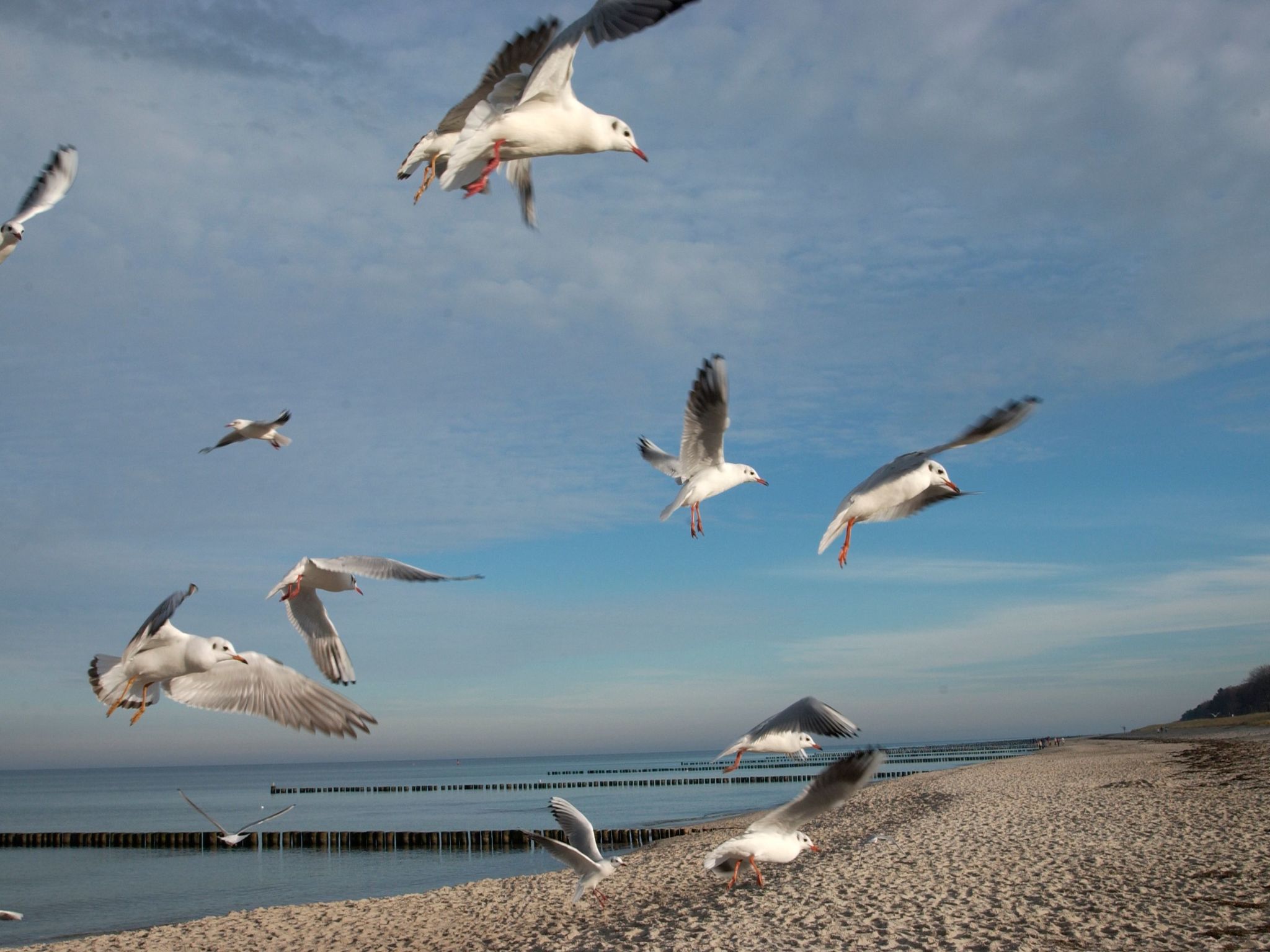 Admiral's Cor. Gulet-Binnen