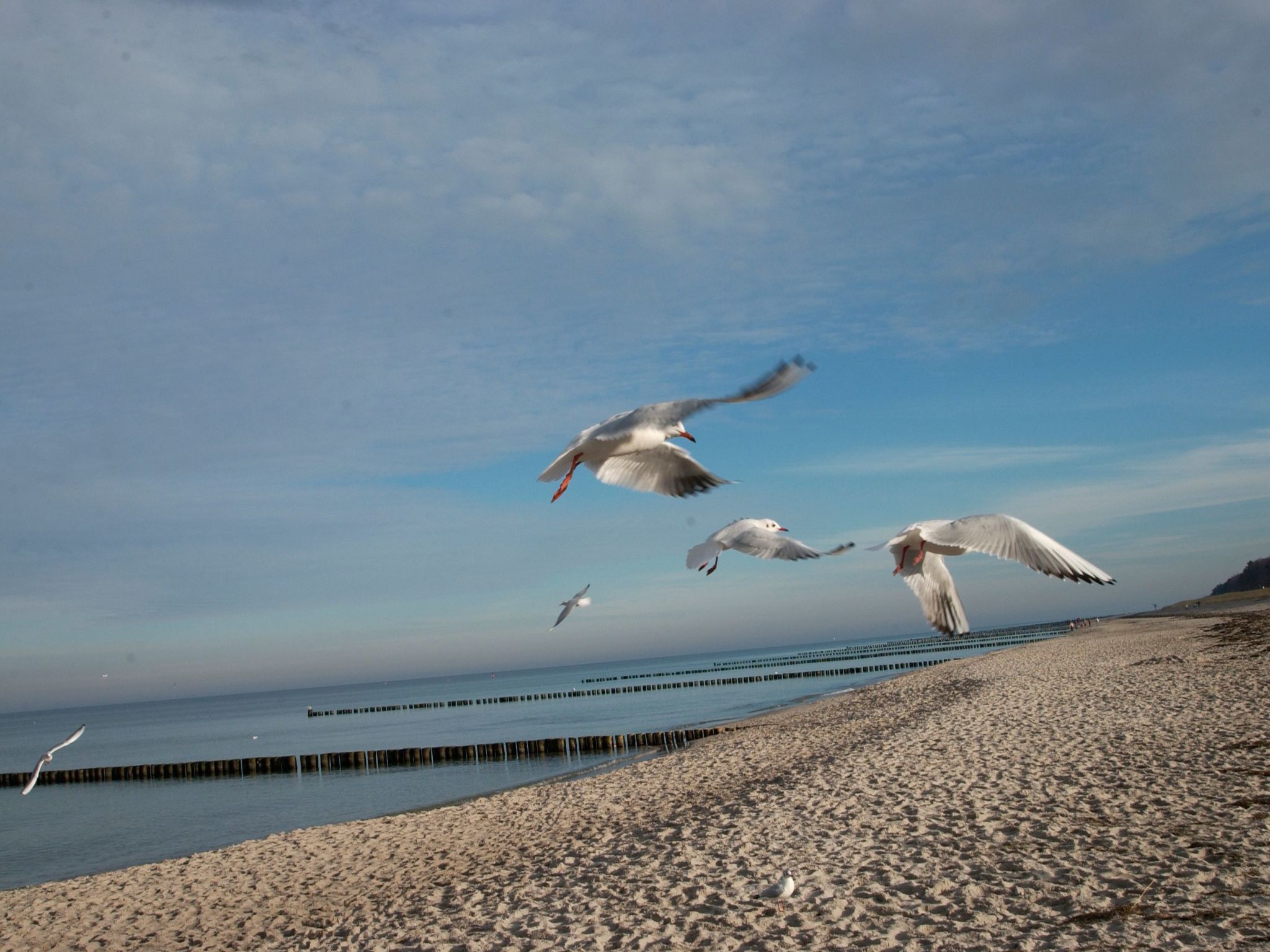 Admiral's Cor. Gulet-Binnen